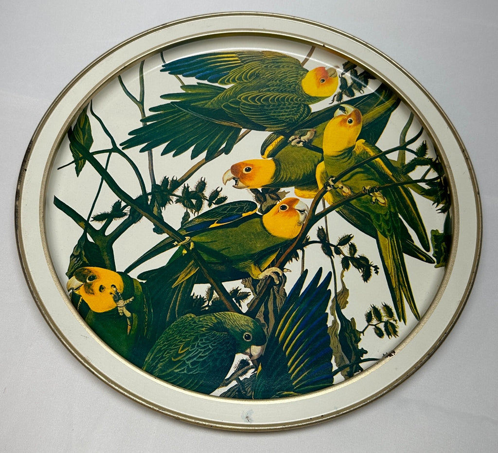 Vintage Sunshine Biscuits Tin Audubons Birds America Woodpecker Parakeet Conure