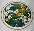 Vintage Sunshine Biscuits Tin Audubons Birds America Woodpecker Parakeet Conure