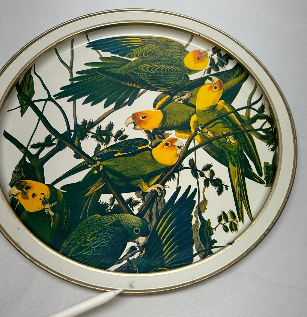 Vintage Sunshine Biscuits Tin Audubons Birds America Woodpecker Parakeet Conure
