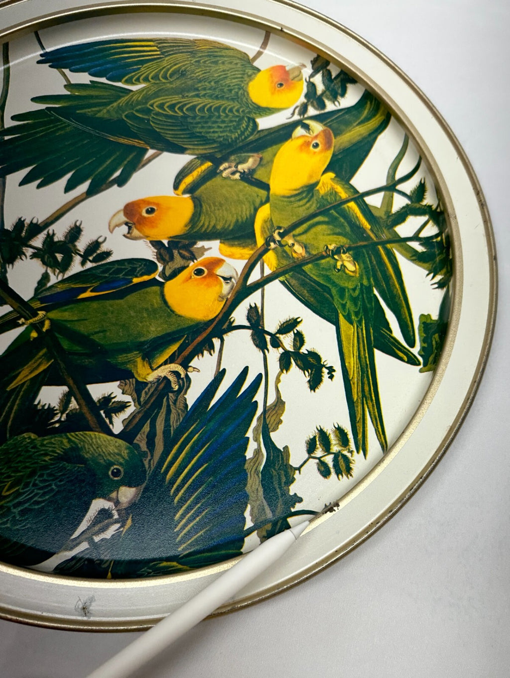Vintage Sunshine Biscuits Tin Audubons Birds America Woodpecker Parakeet Conure