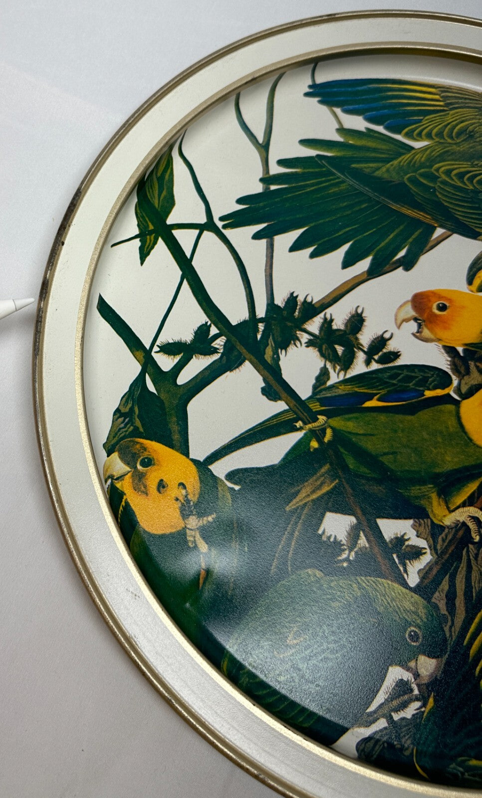 Vintage Sunshine Biscuits Tin Audubons Birds America Woodpecker Parakeet Conure