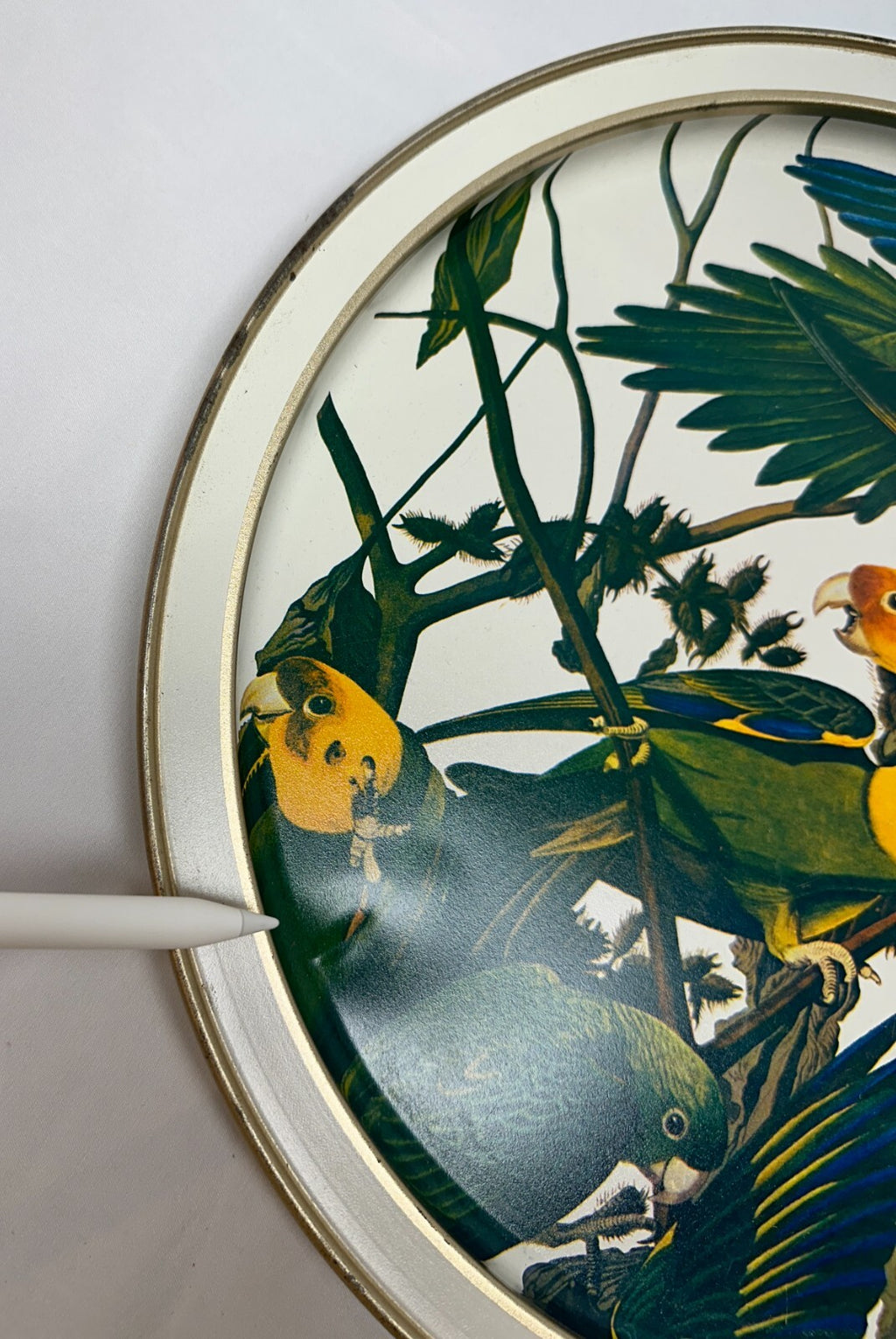 Vintage Sunshine Biscuits Tin Audubons Birds America Woodpecker Parakeet Conure
