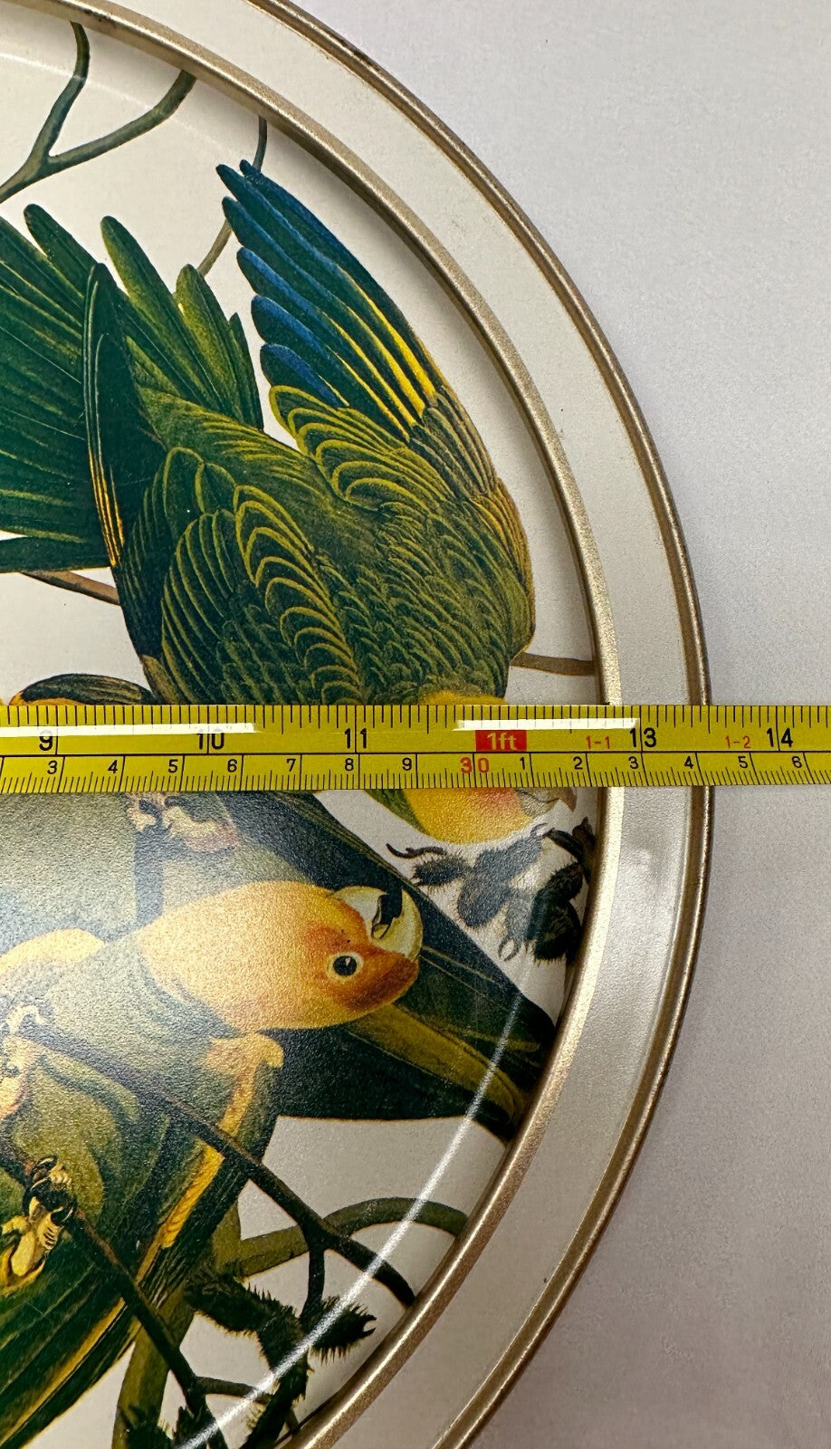 Vintage Sunshine Biscuits Tin Audubons Birds America Woodpecker Parakeet Conure