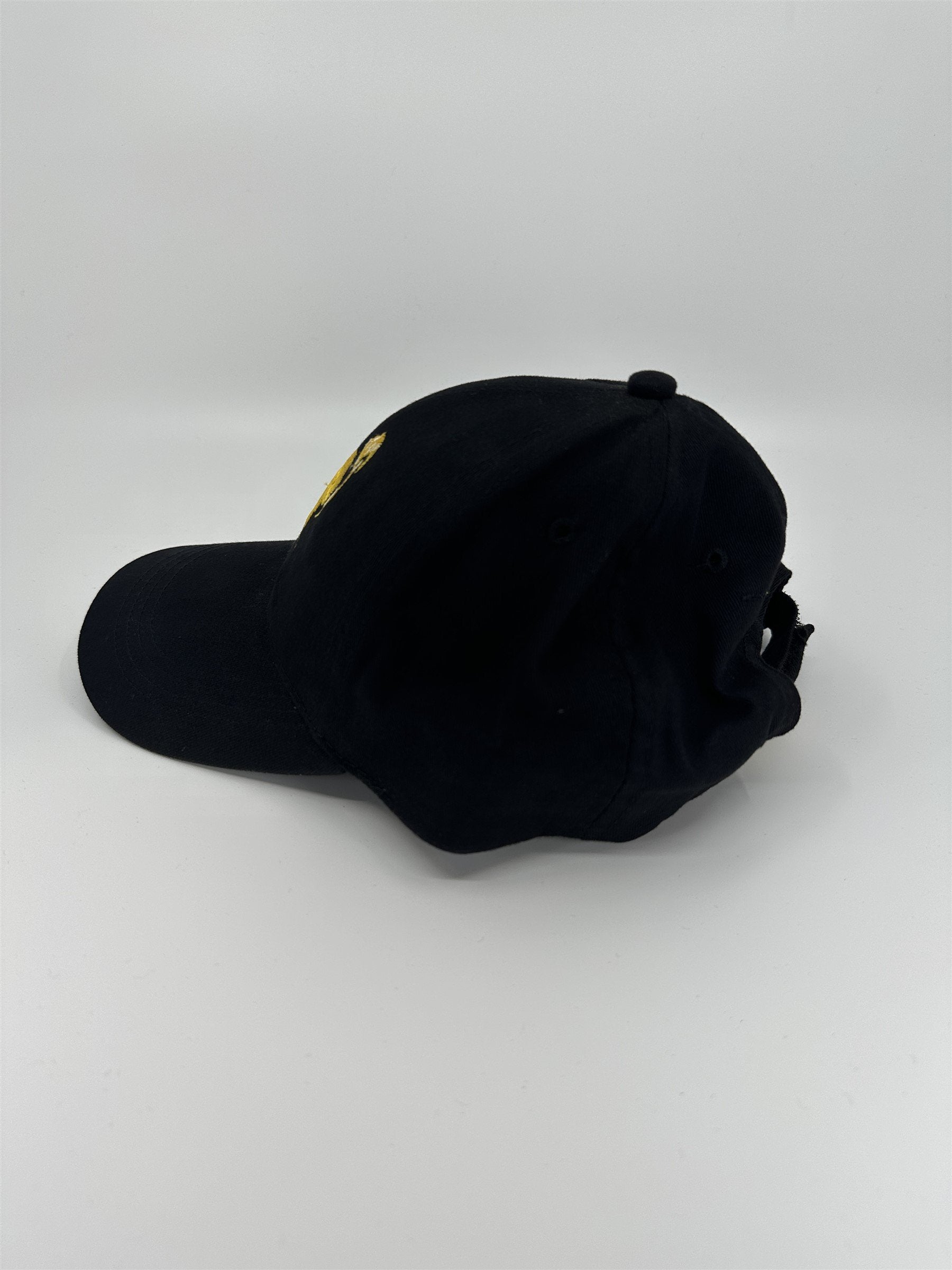 Black Harry Potter Adjustable Hat HP Golden Snitch Logo Lightning Bolt Accent