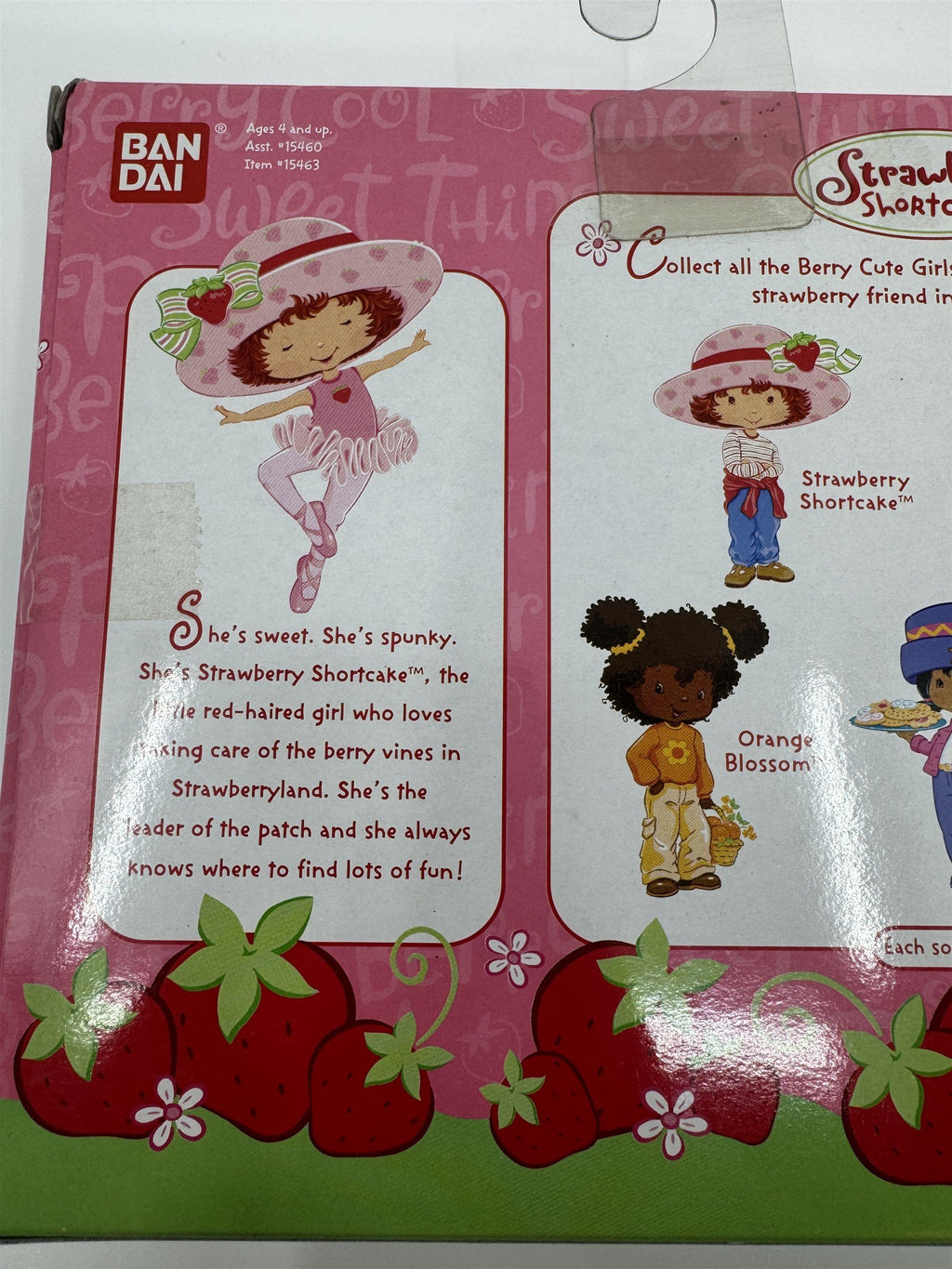 Strawberry Shortcake Berry Ballerina Strawberry Shortcake with Berry Tote Pink