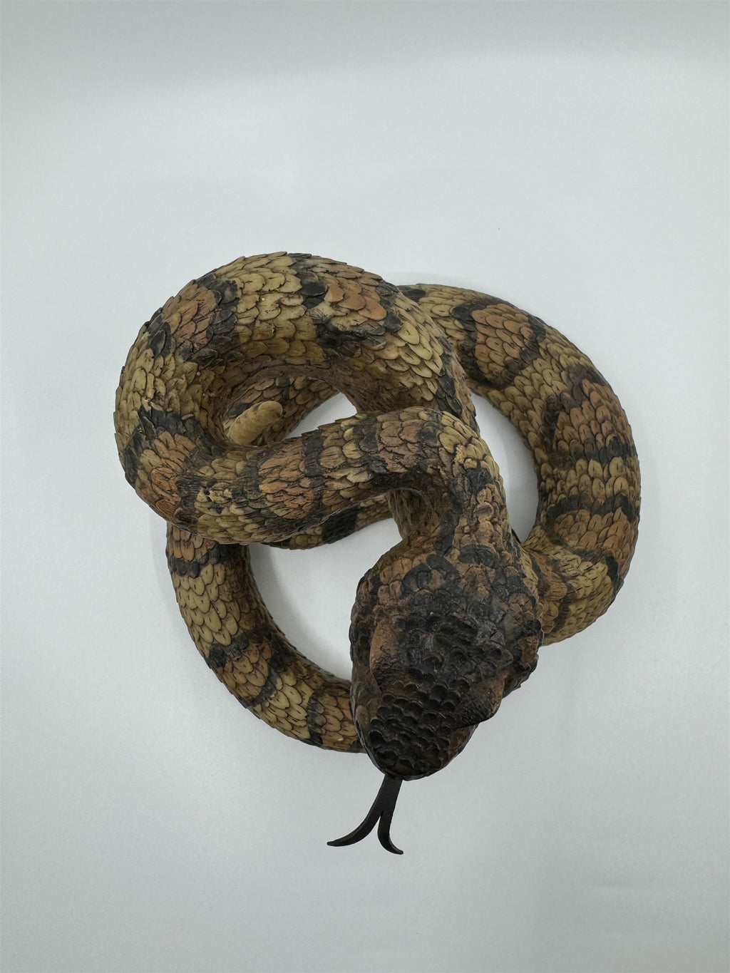 Realistic Resin Plastic Rattle Snake Adult and Baby Set Reptile Figurine Statues