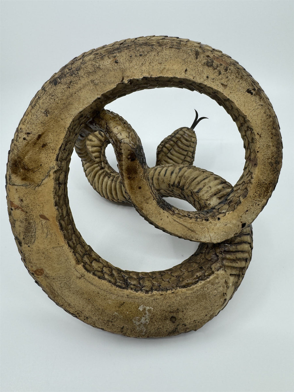 Realistic Resin Plastic Rattle Snake Adult and Baby Set Reptile Figurine Statues