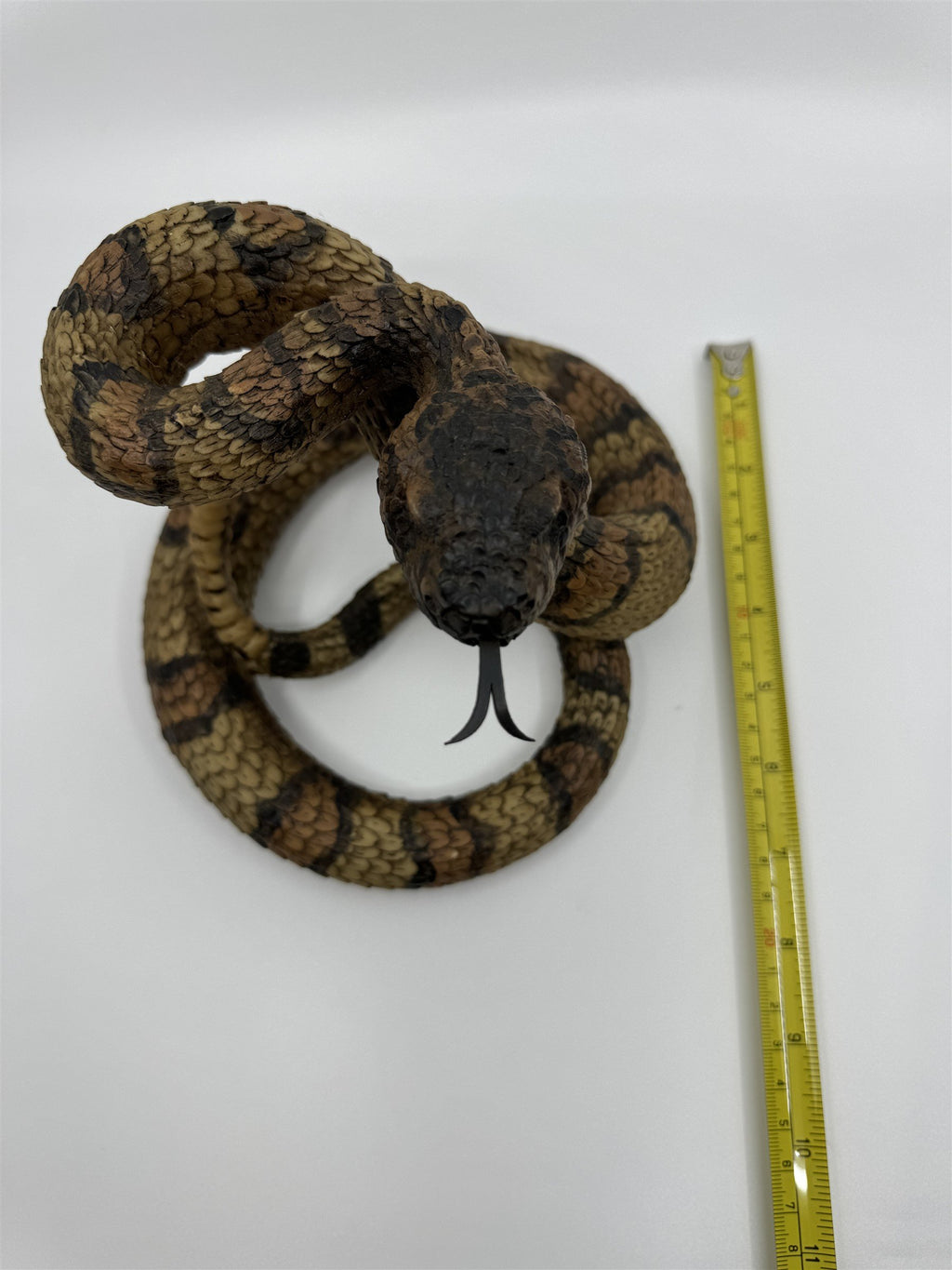 Realistic Resin Plastic Rattle Snake Adult and Baby Set Reptile Figurine Statues