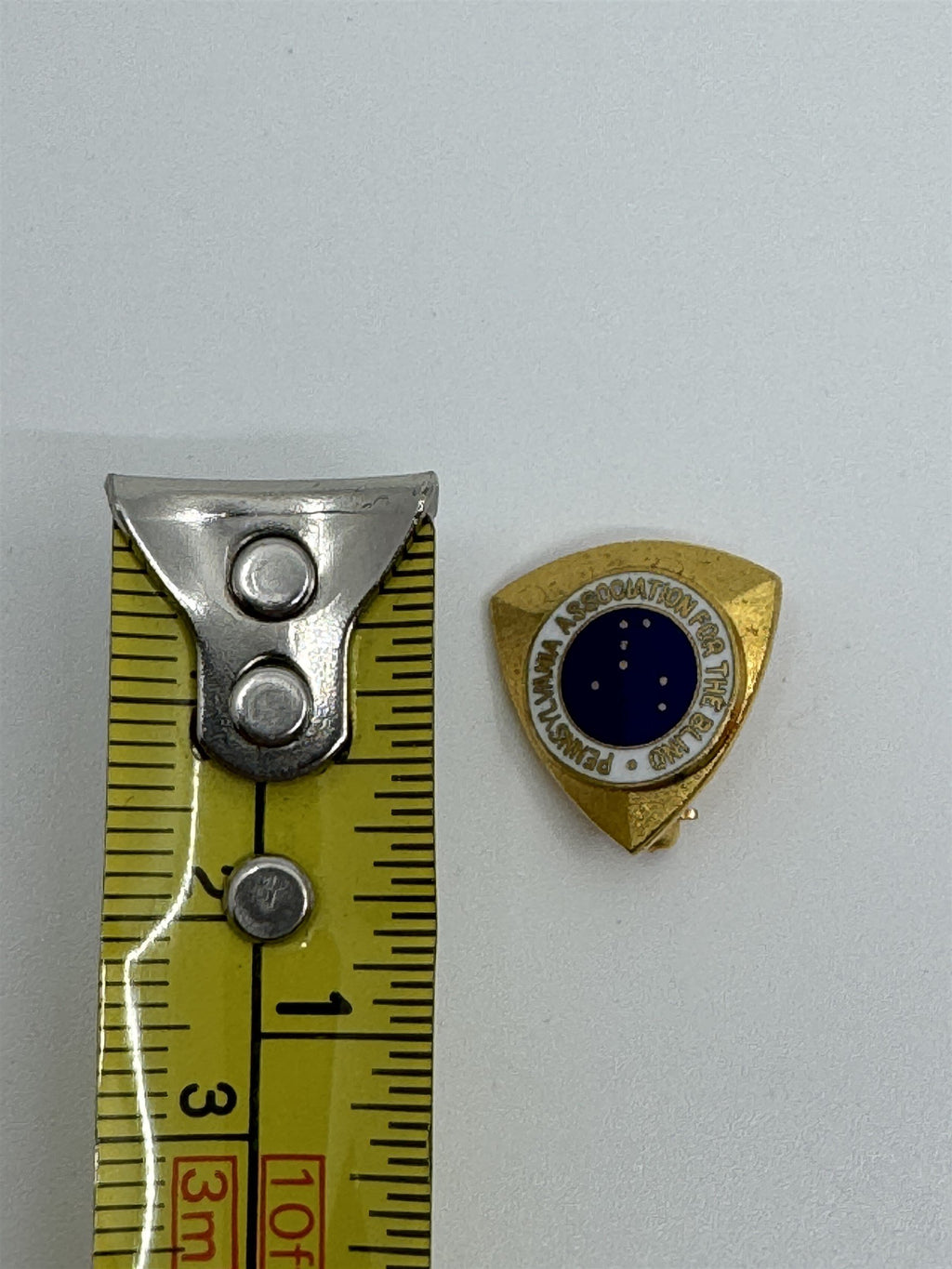 Vintage PA Pennsylvania Association for the Blind PAAB Lapel Pin Braille