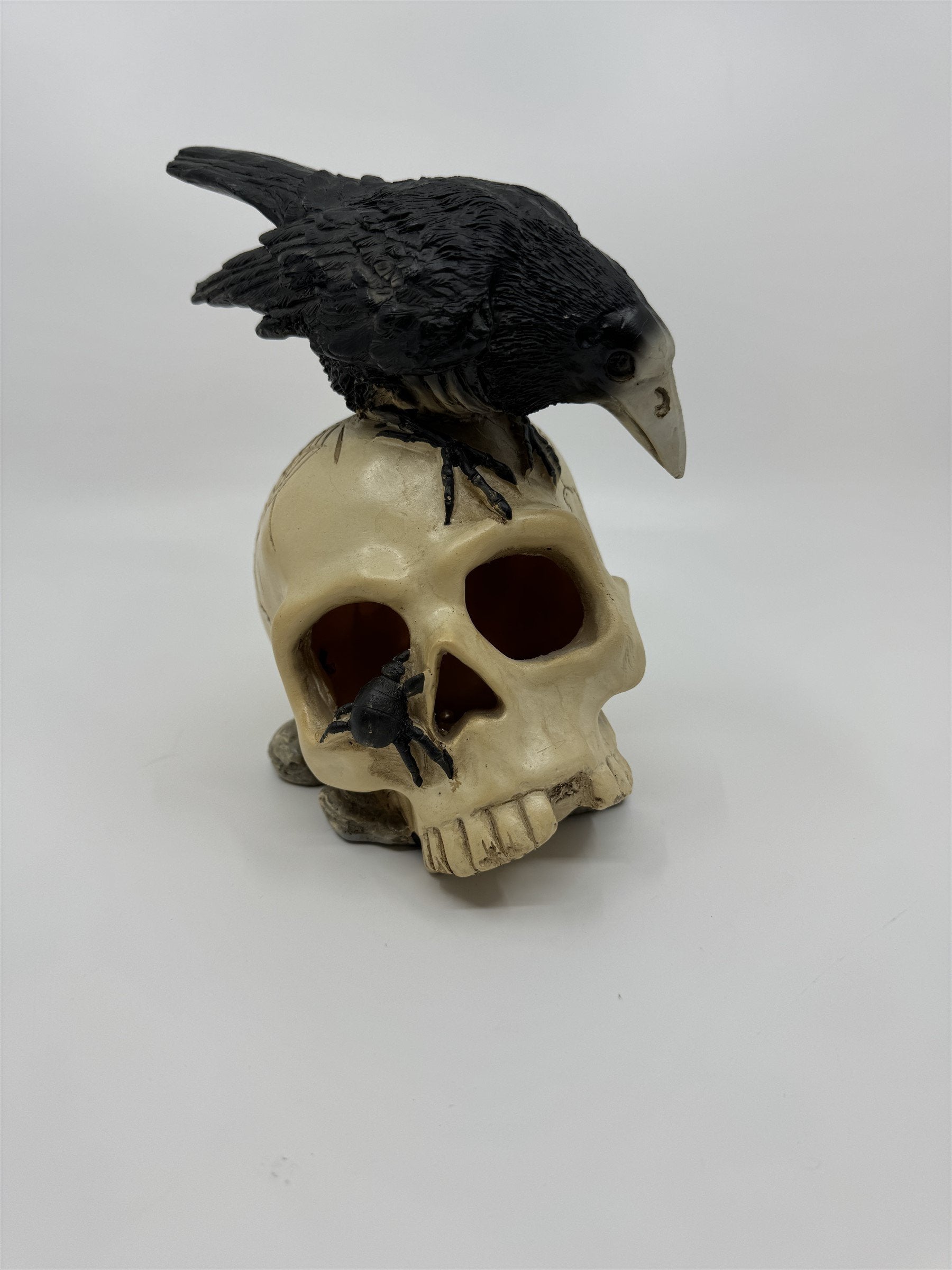 7" Skull /w Crow and Spider Resin Statue Figurine Home Decor