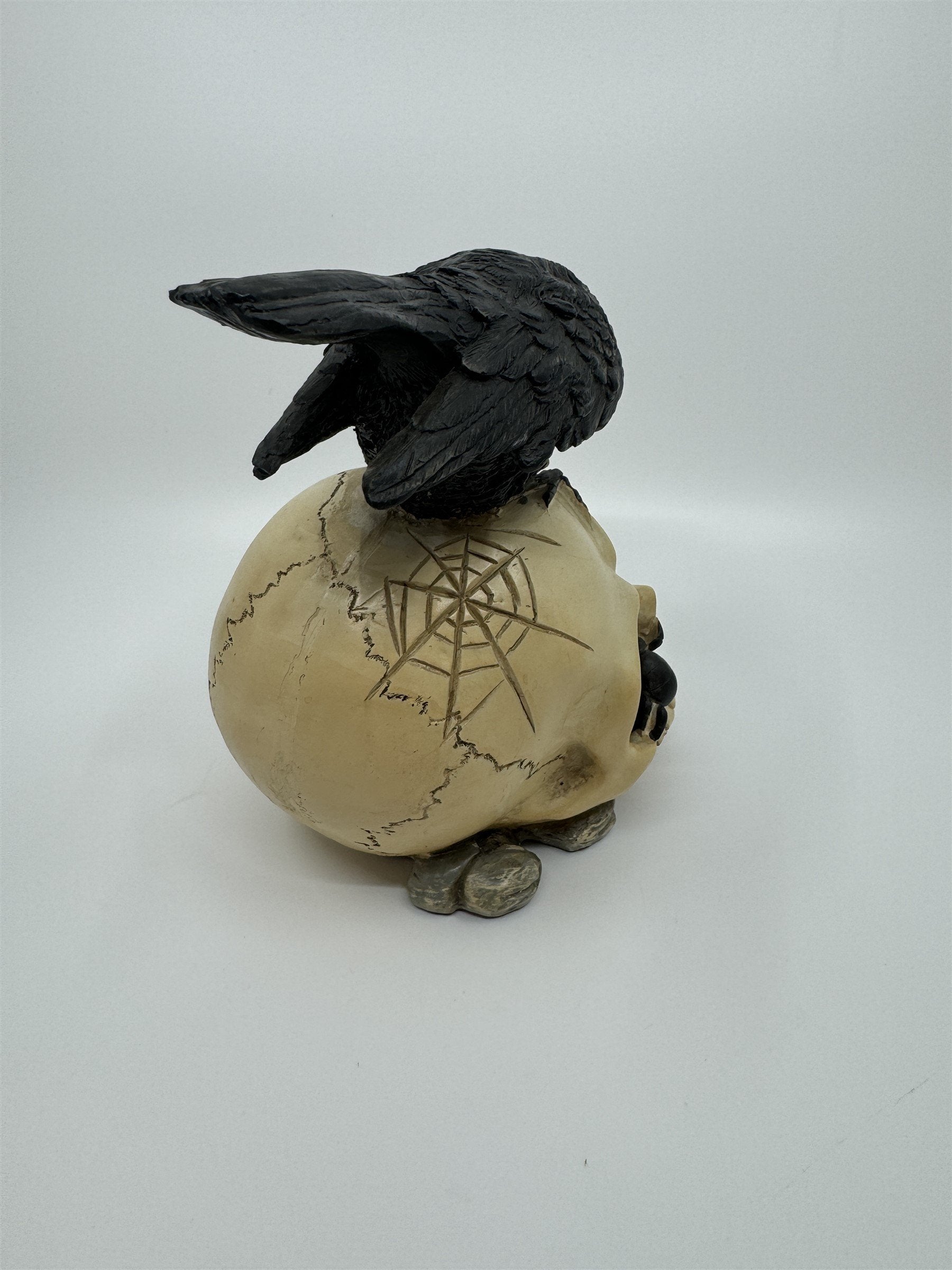 7" Skull /w Crow and Spider Resin Statue Figurine Home Decor
