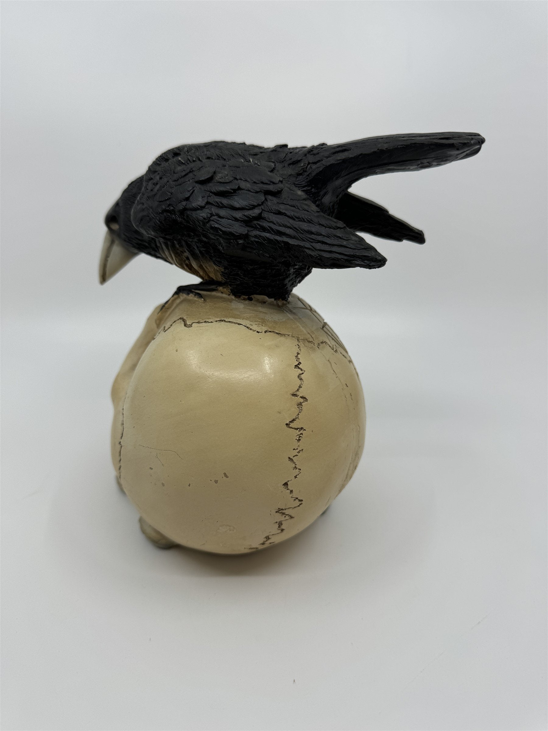 7" Skull /w Crow and Spider Resin Statue Figurine Home Decor