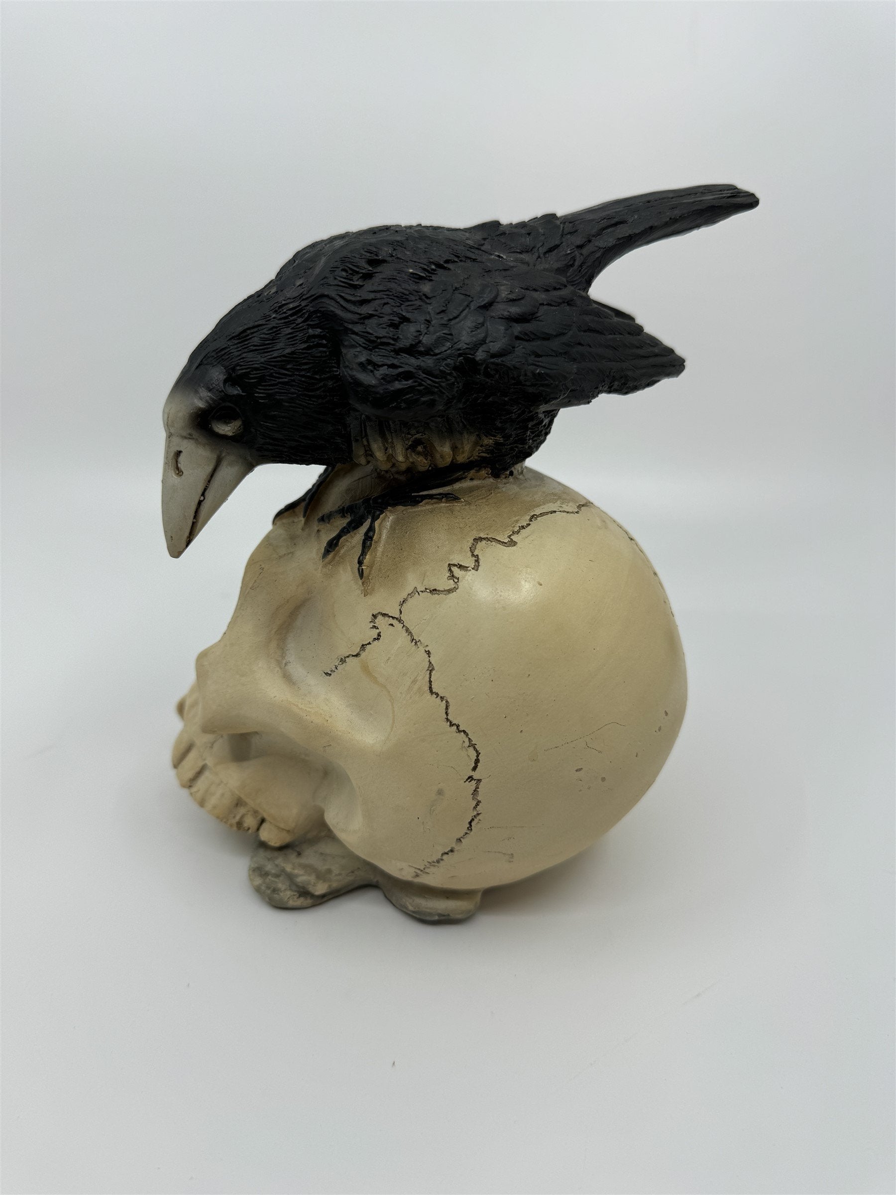 7" Skull /w Crow and Spider Resin Statue Figurine Home Decor