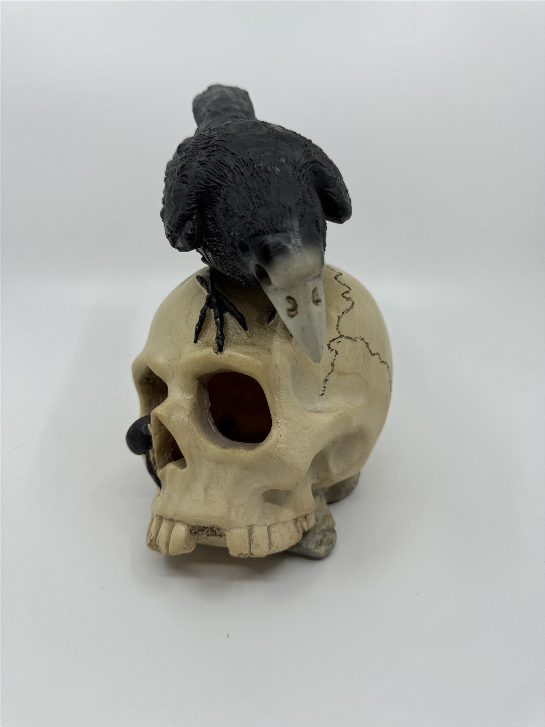 7" Skull /w Crow and Spider Resin Statue Figurine Home Decor