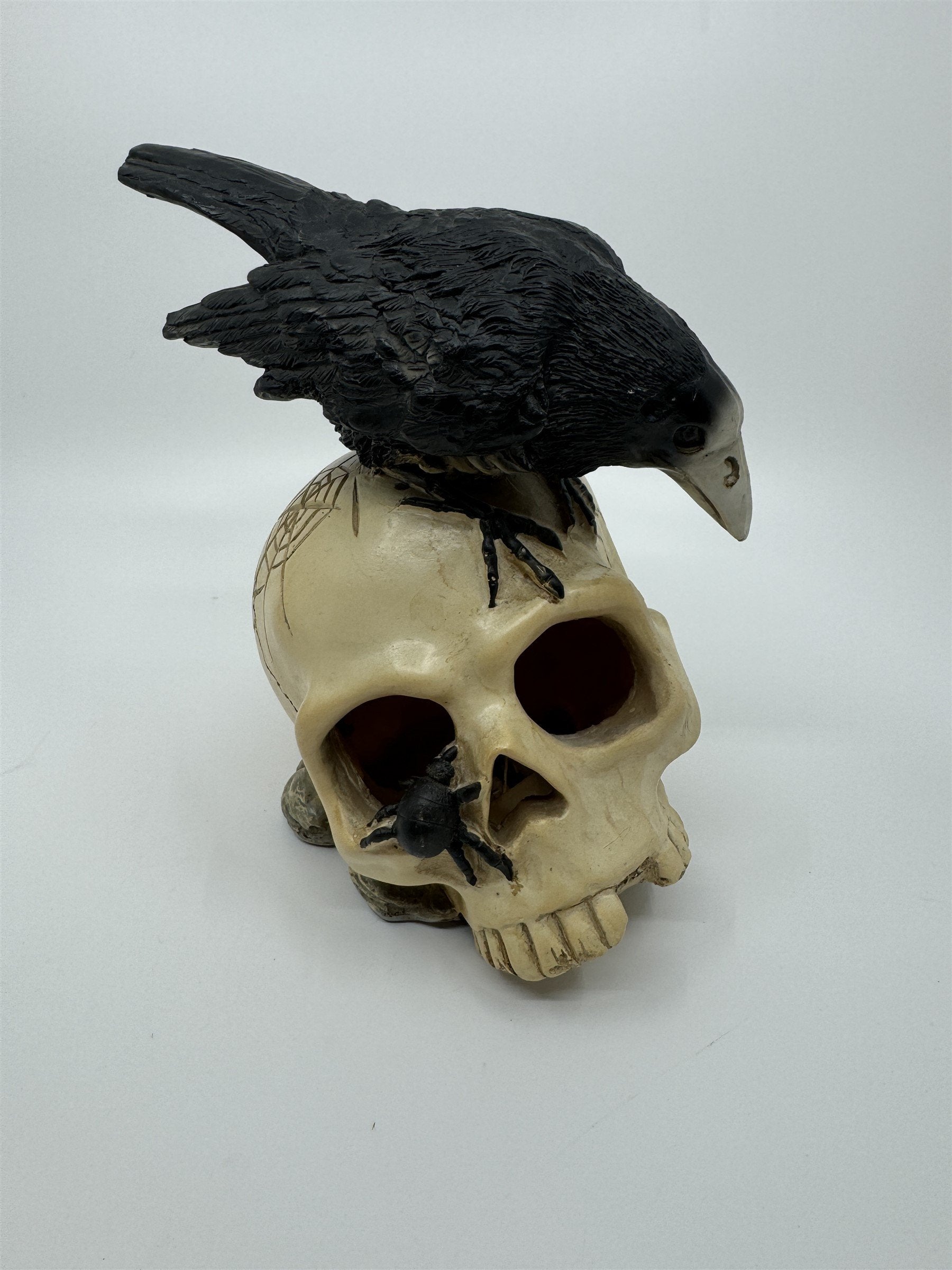 7" Skull /w Crow and Spider Resin Statue Figurine Home Decor