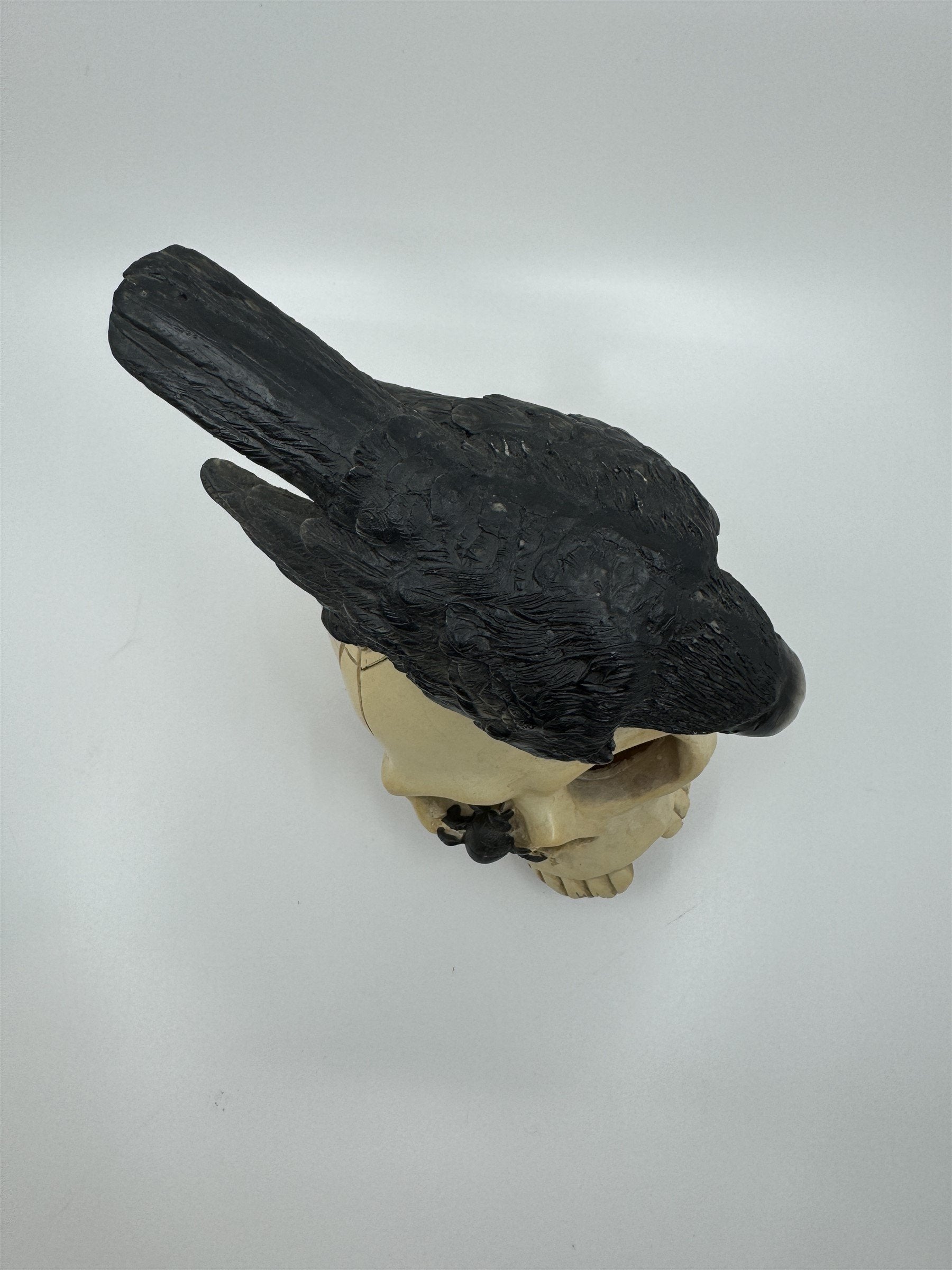 7" Skull /w Crow and Spider Resin Statue Figurine Home Decor