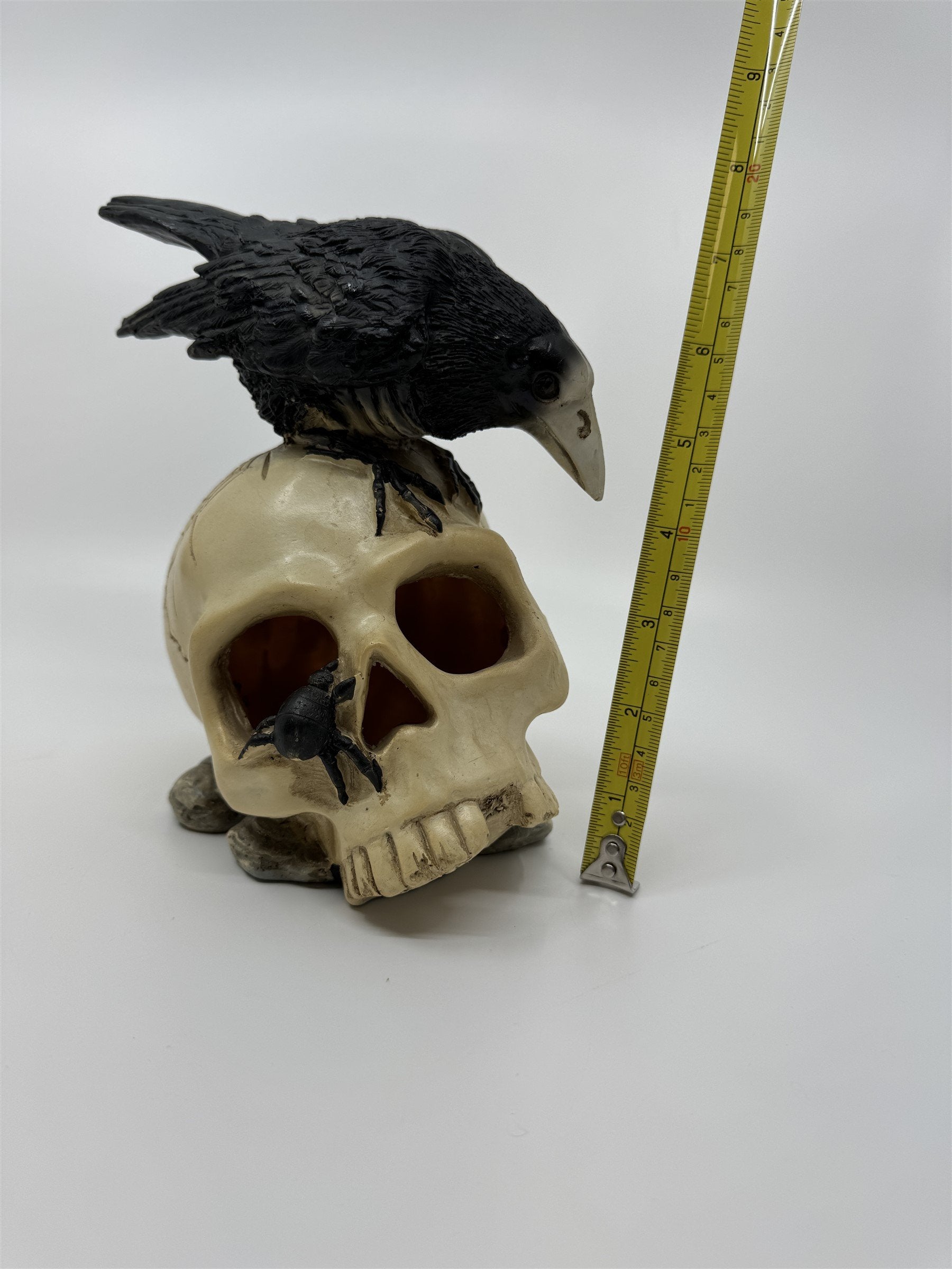 7" Skull /w Crow and Spider Resin Statue Figurine Home Decor