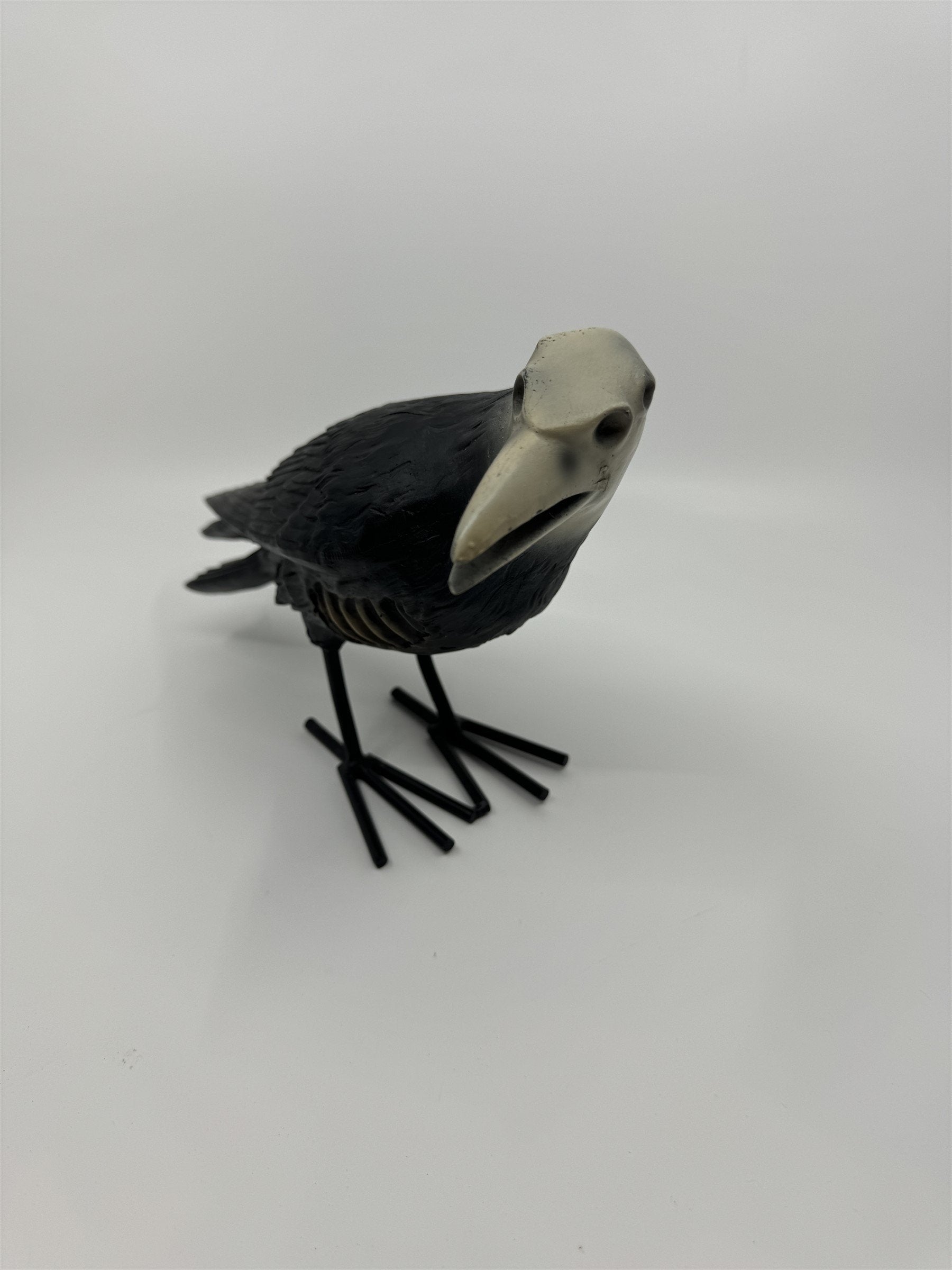7" Tall Decaying/Rotting Crow Skull Statue Figurine Home Decor Resin+Metal