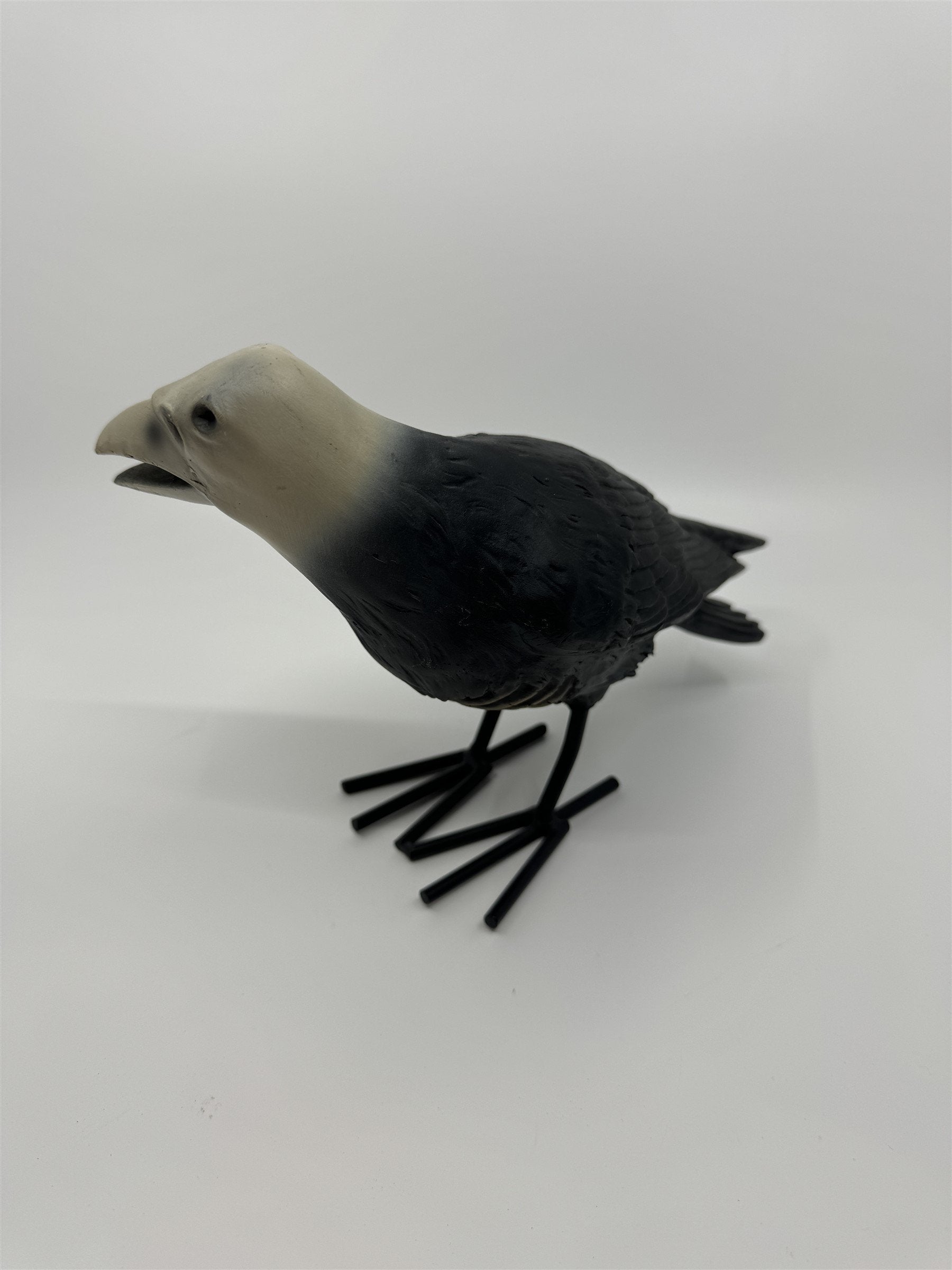 7" Tall Decaying/Rotting Crow Skull Statue Figurine Home Decor Resin+Metal