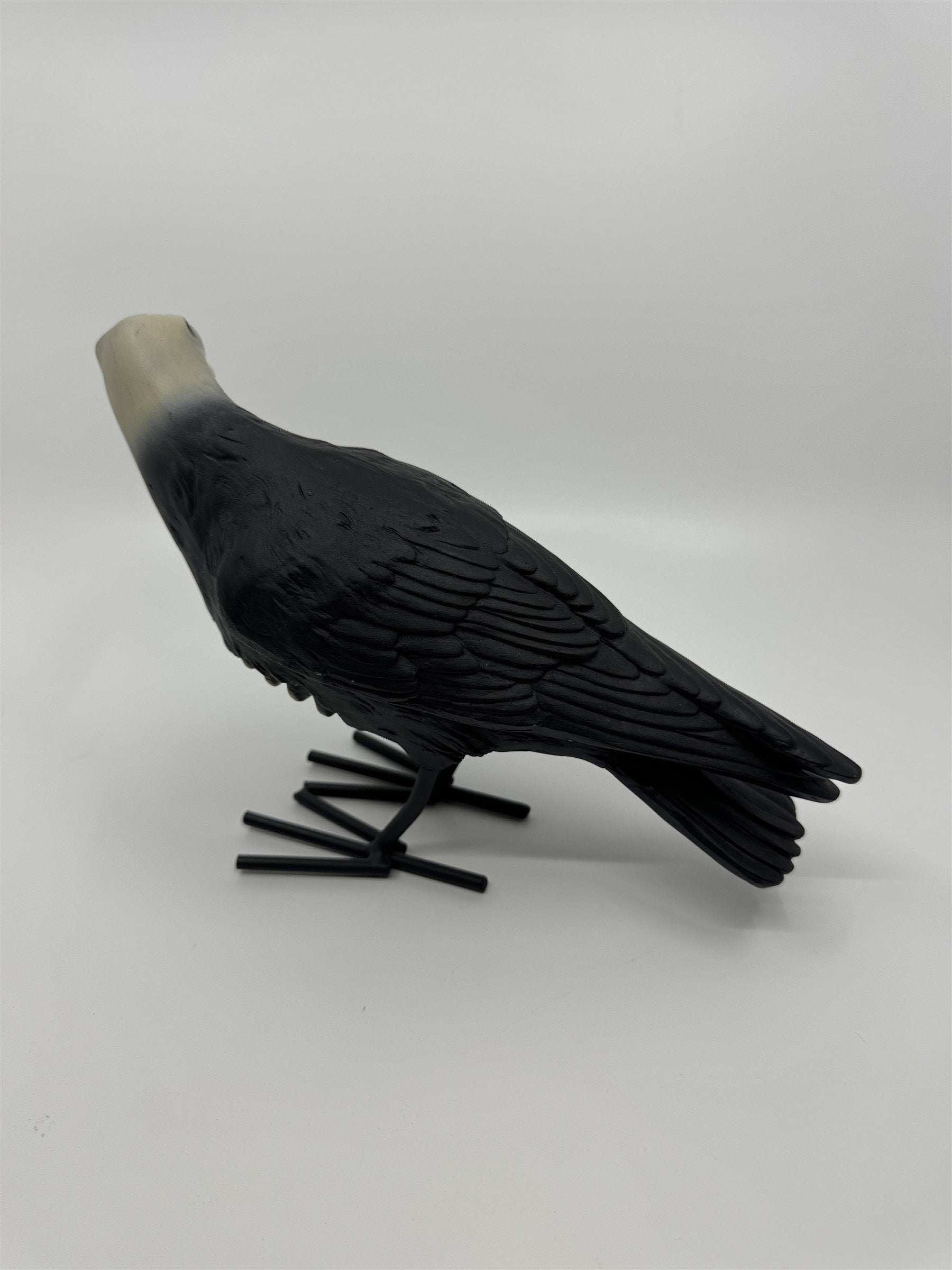 7" Tall Decaying/Rotting Crow Skull Statue Figurine Home Decor Resin+Metal