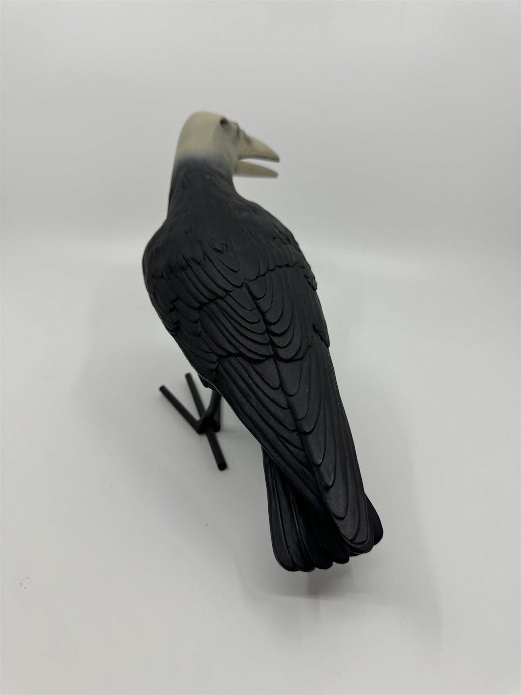 7" Tall Decaying/Rotting Crow Skull Statue Figurine Home Decor Resin+Metal