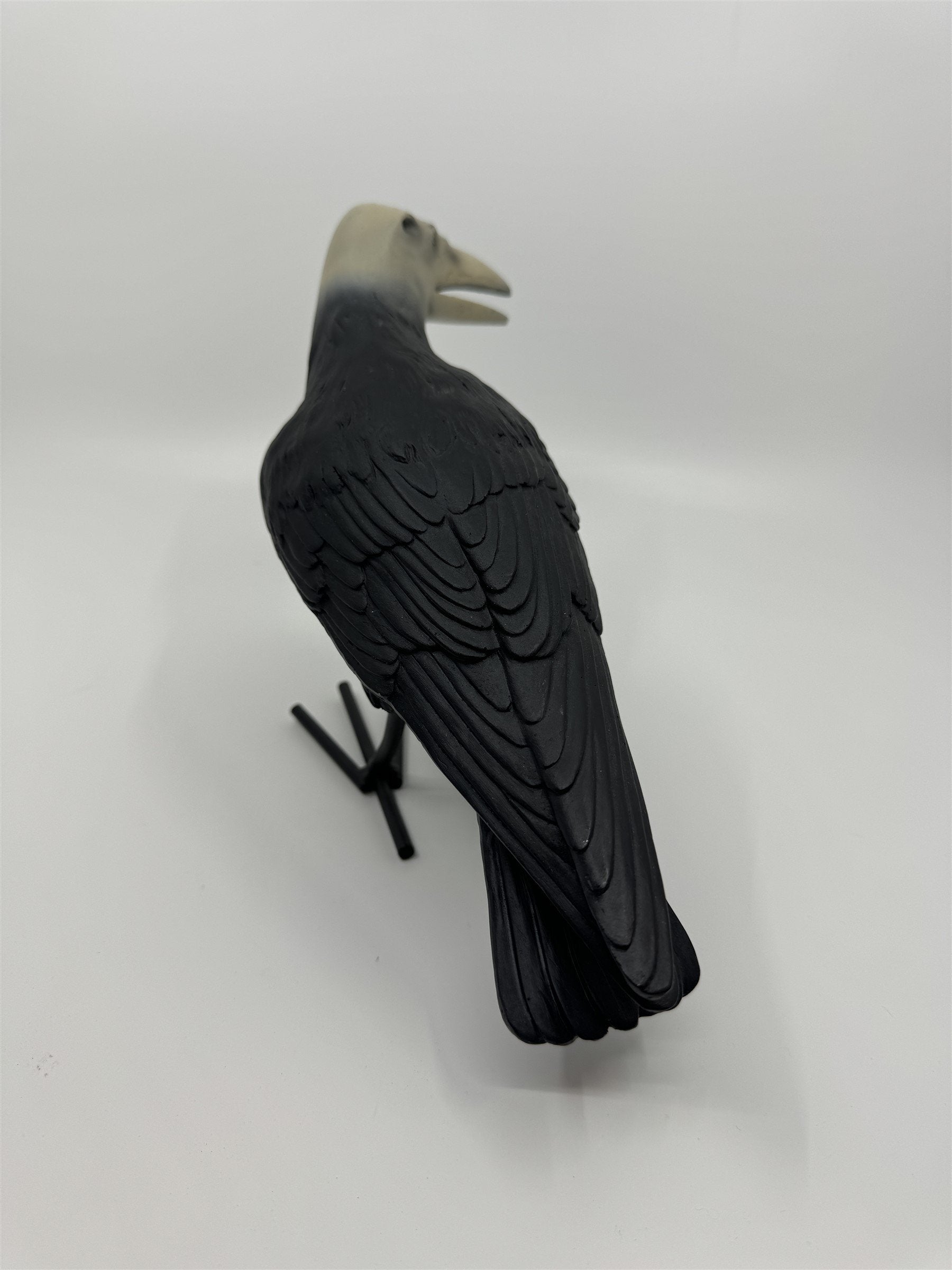 7" Tall Decaying/Rotting Crow Skull Statue Figurine Home Decor Resin+Metal