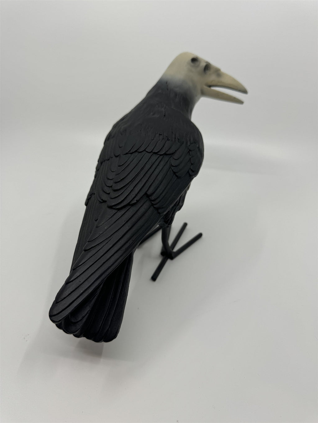 7" Tall Decaying/Rotting Crow Skull Statue Figurine Home Decor Resin+Metal