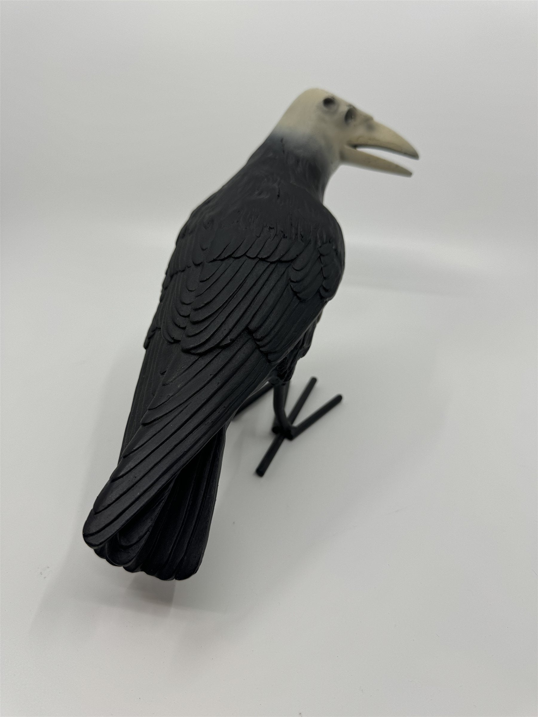 7" Tall Decaying/Rotting Crow Skull Statue Figurine Home Decor Resin+Metal