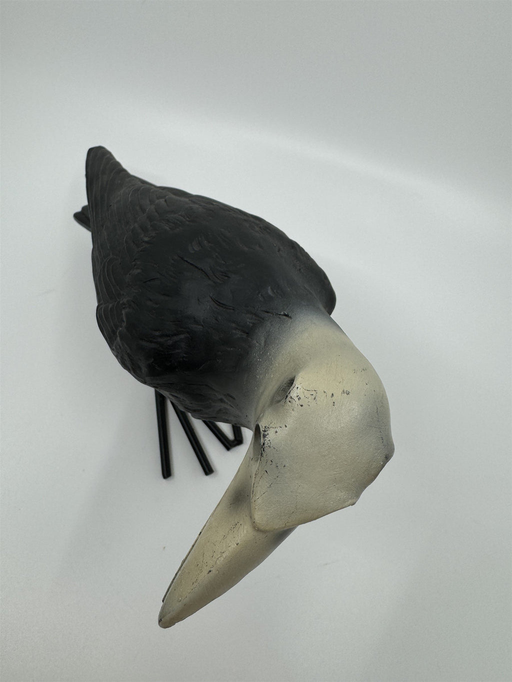 7" Tall Decaying/Rotting Crow Skull Statue Figurine Home Decor Resin+Metal