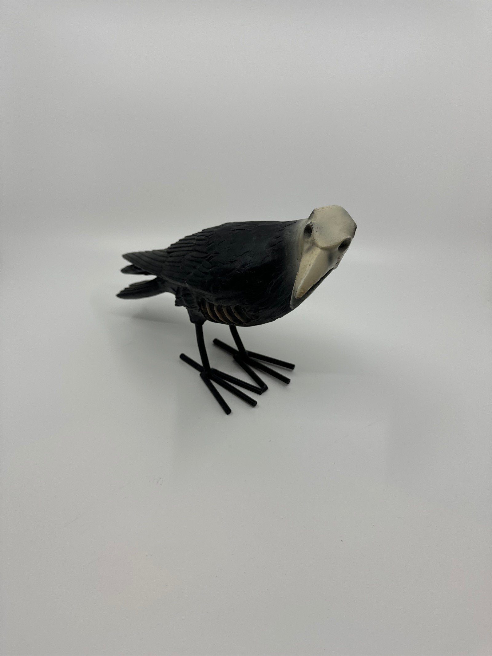 7" Tall Decaying/Rotting Crow Skull Statue Figurine Home Decor Resin+Metal