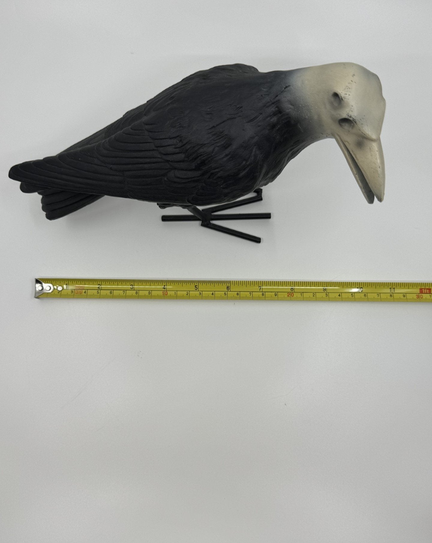 7" Tall Decaying/Rotting Crow Skull Statue Figurine Home Decor Resin+Metal