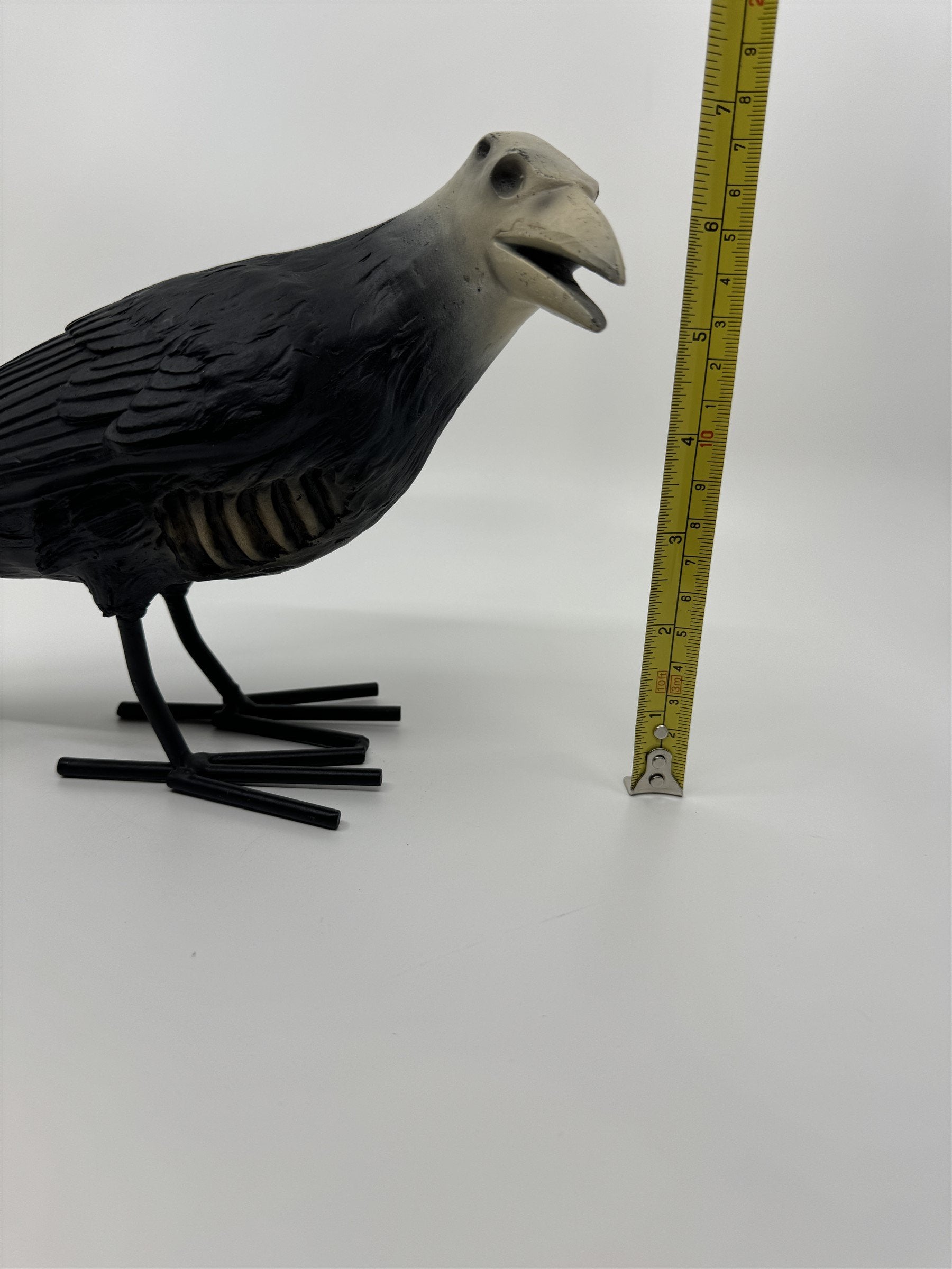 7" Tall Decaying/Rotting Crow Skull Statue Figurine Home Decor Resin+Metal