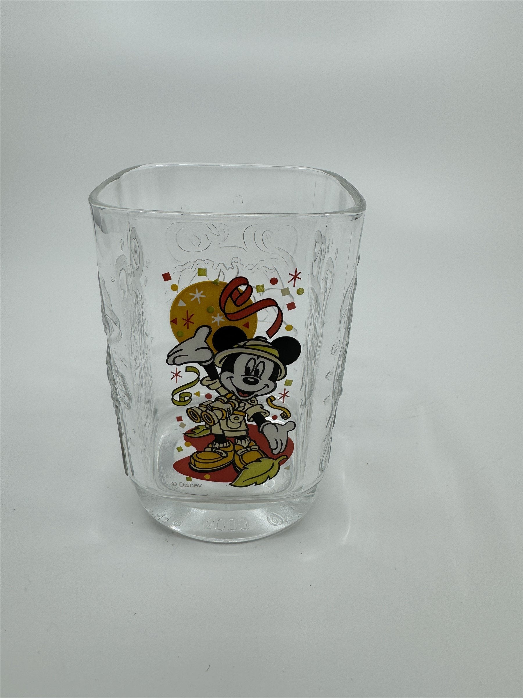 Vintage McDonalds 2000 Walt Disney World ANIMAL KINGDOM Drinking Glass Promo Cup