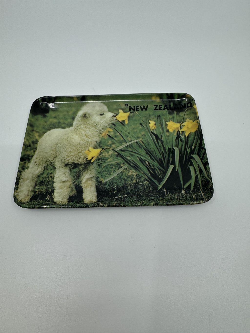 Vintage New Zealand Baby Lamb Sniffing Flowers Tulips Melamine 502 Coin Tip Tray