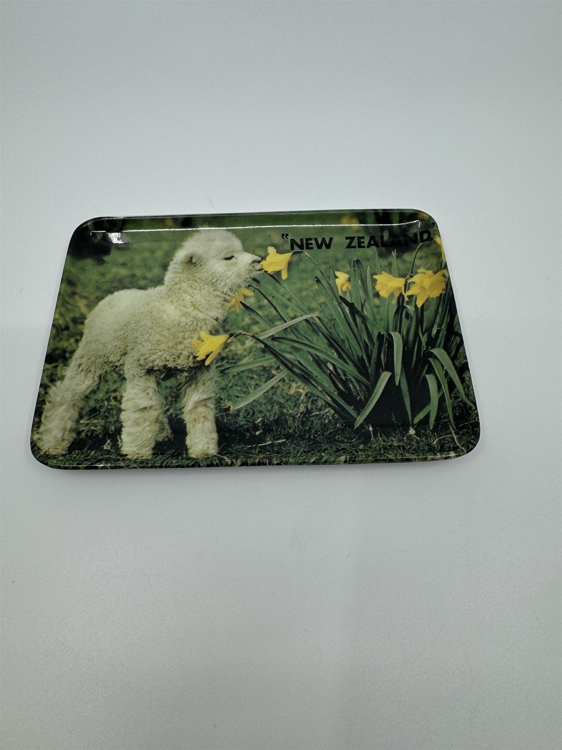 Vintage New Zealand Baby Lamb Sniffing Flowers Tulips Melamine 502 Coin Tip Tray