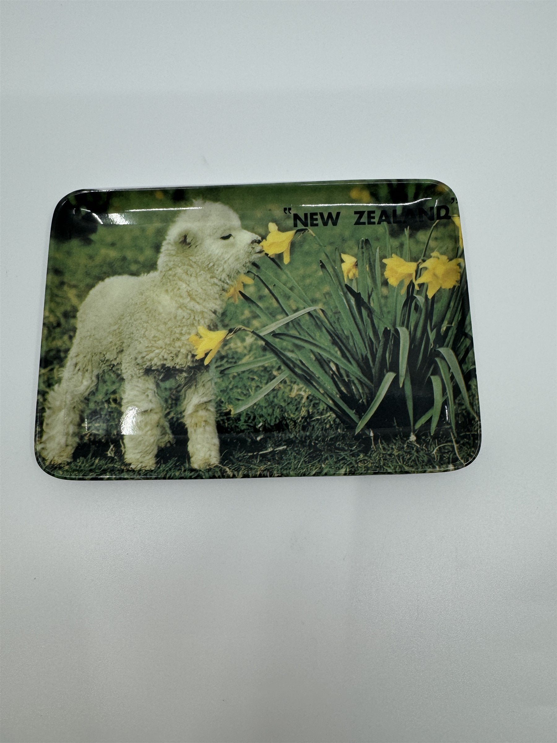 Vintage New Zealand Baby Lamb Sniffing Flowers Tulips Melamine 502 Coin Tip Tray