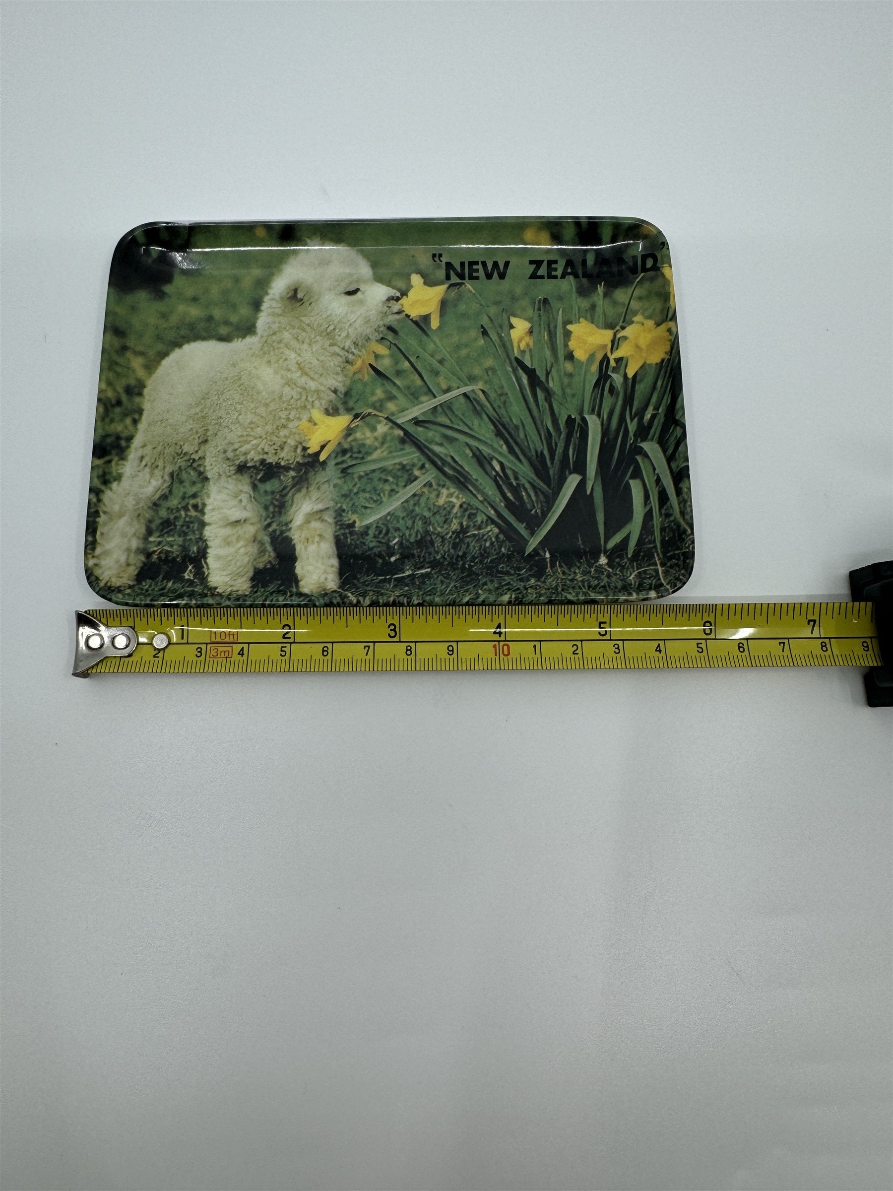 Vintage New Zealand Baby Lamb Sniffing Flowers Tulips Melamine 502 Coin Tip Tray