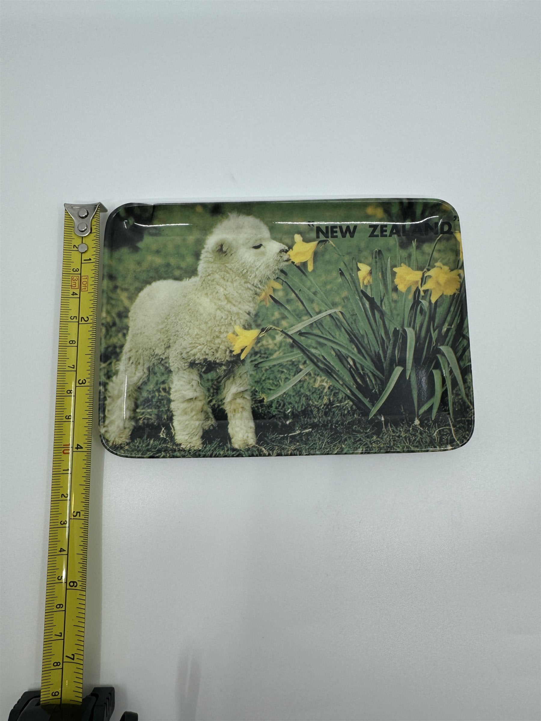 Vintage New Zealand Baby Lamb Sniffing Flowers Tulips Melamine 502 Coin Tip Tray