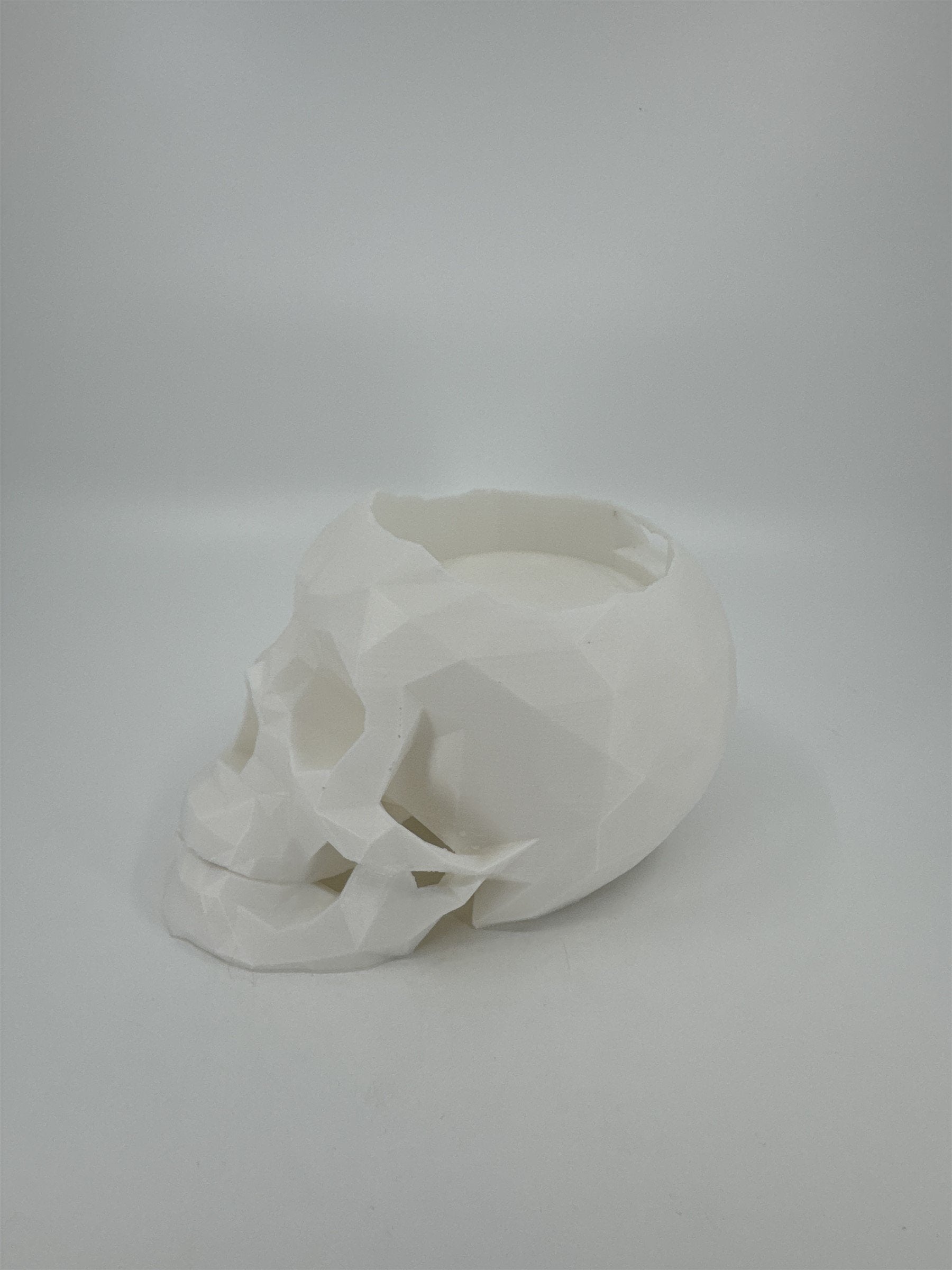 White 3D Printed Human Skull Amazon Echo Dot Holder Display Halloween