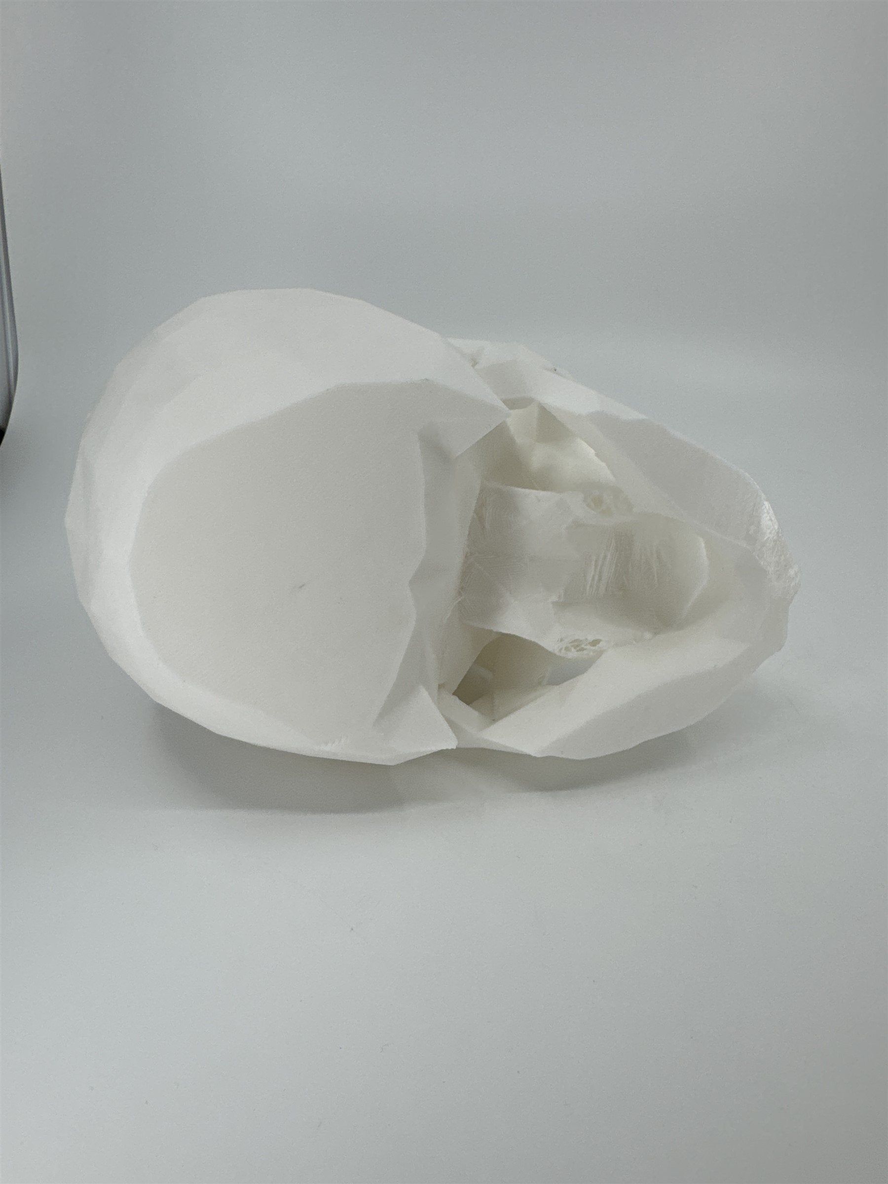 White 3D Printed Human Skull Amazon Echo Dot Holder Display Halloween