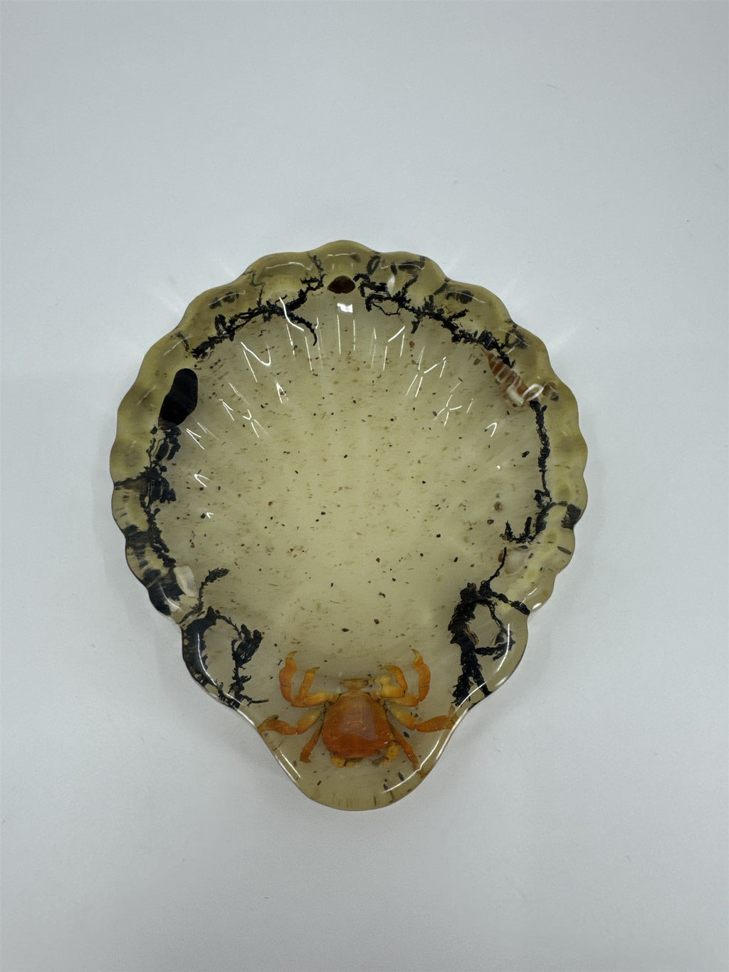 Vtg Handmade Resin Candy Dish Preserved Crab Moss Sea Shells Ocean Decor