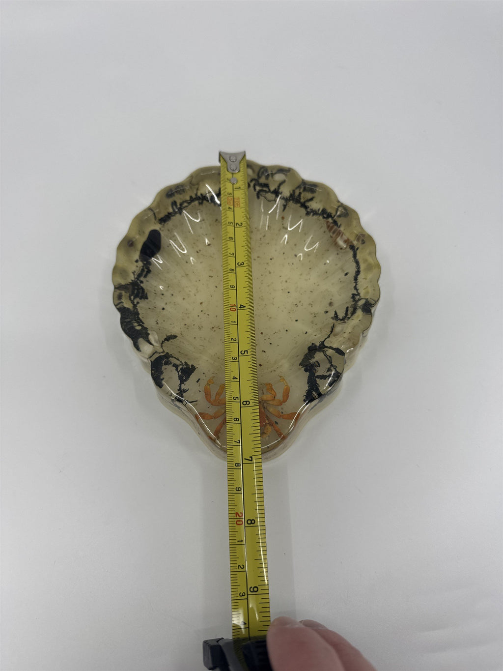 Vtg Handmade Resin Candy Dish Preserved Crab Moss Sea Shells Ocean Decor