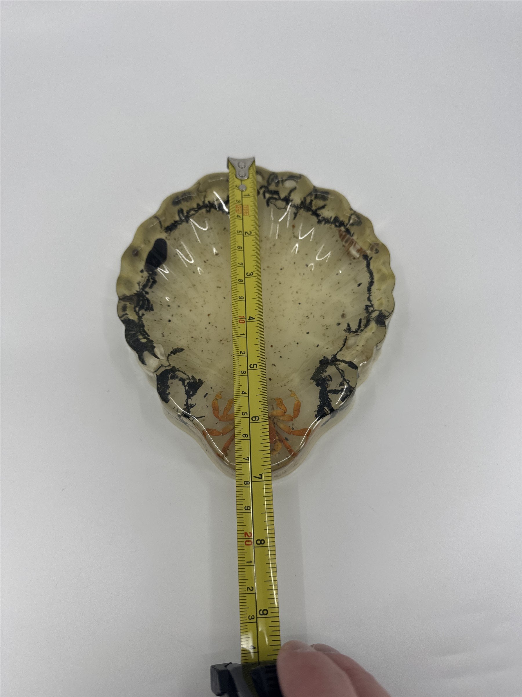 Vtg Handmade Resin Candy Dish Preserved Crab Moss Sea Shells Ocean Decor