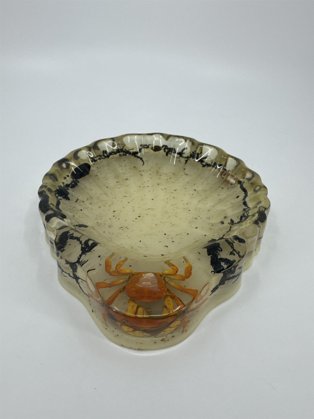 Vtg Handmade Resin Candy Dish Preserved Crab Moss Sea Shells Ocean Decor