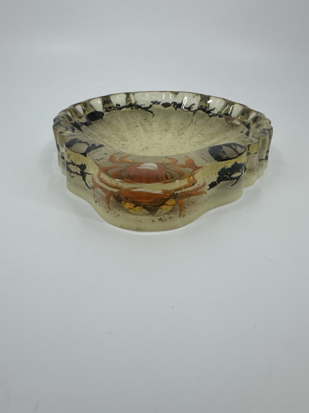 Vtg Handmade Resin Candy Dish Preserved Crab Moss Sea Shells Ocean Decor