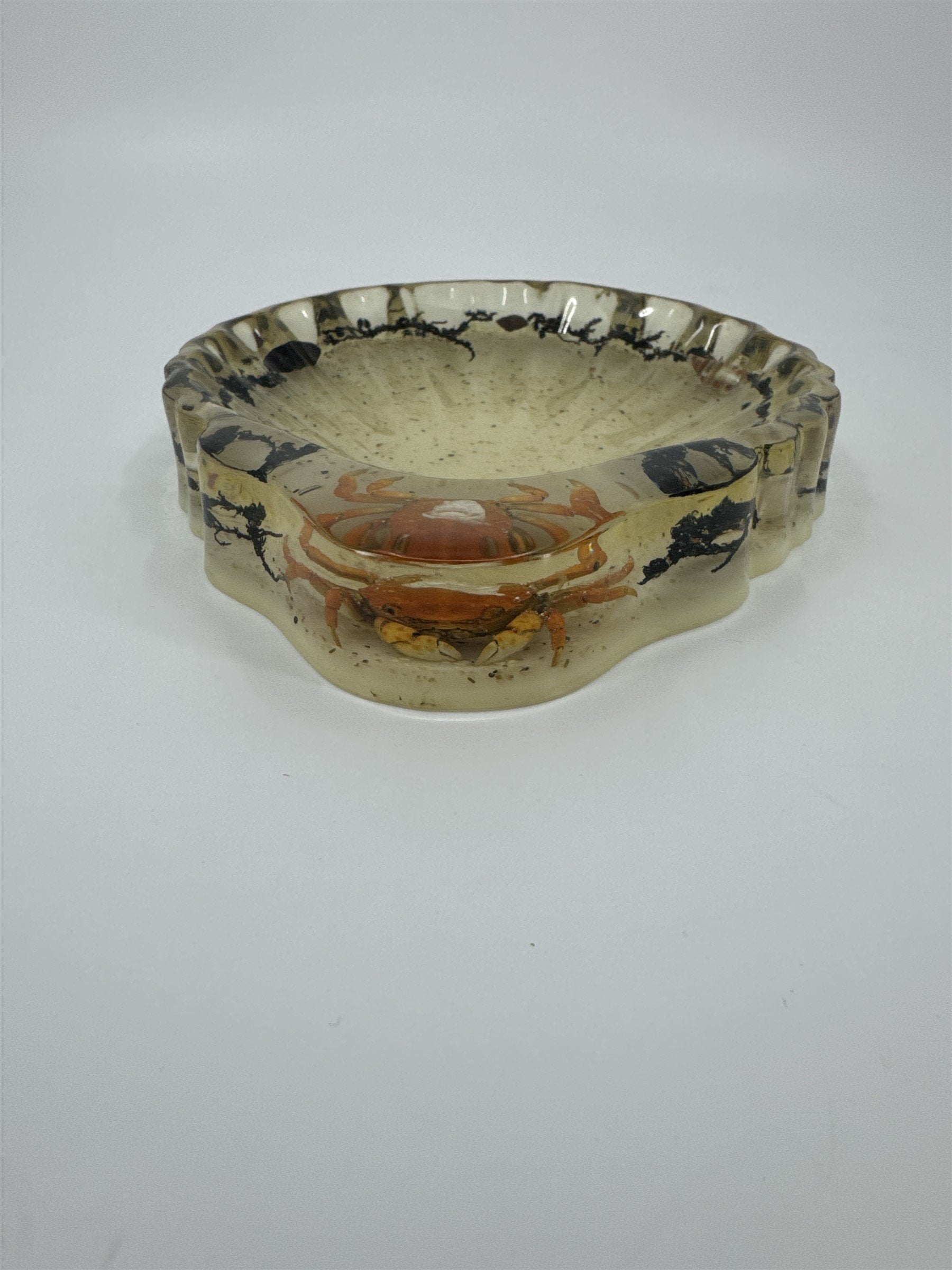 Vtg Handmade Resin Candy Dish Preserved Crab Moss Sea Shells Ocean Decor