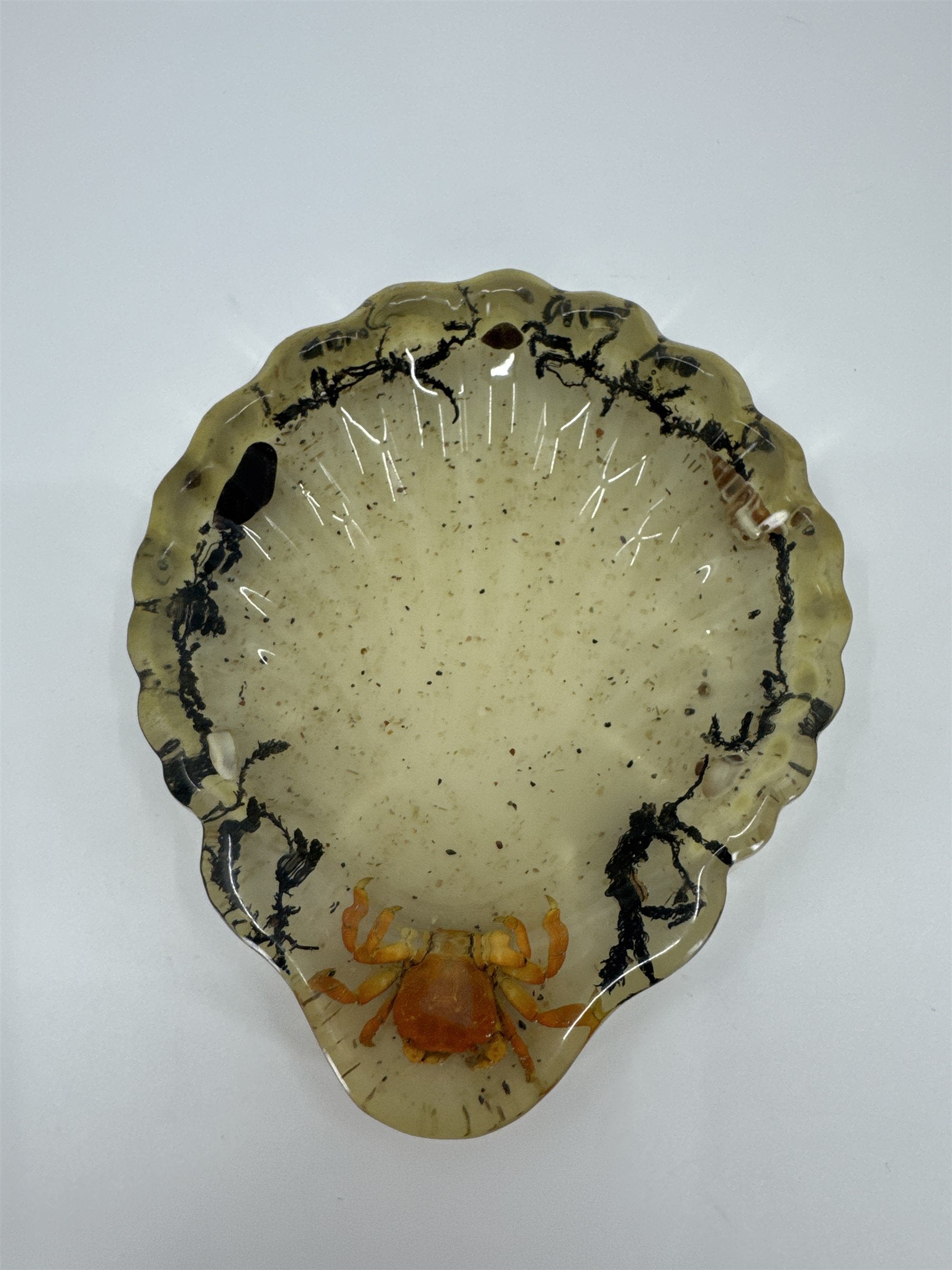 Vtg Handmade Resin Candy Dish Preserved Crab Moss Sea Shells Ocean Decor