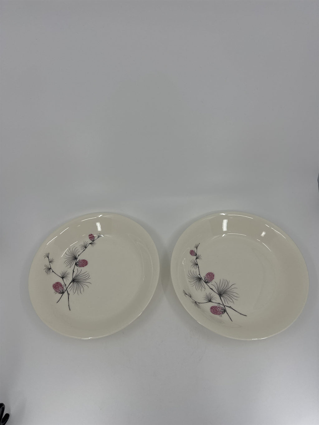 Set of 2 Vintage Alleghenyware Canonsburg Pottery Co. Wild Clover USA Bread Bowl