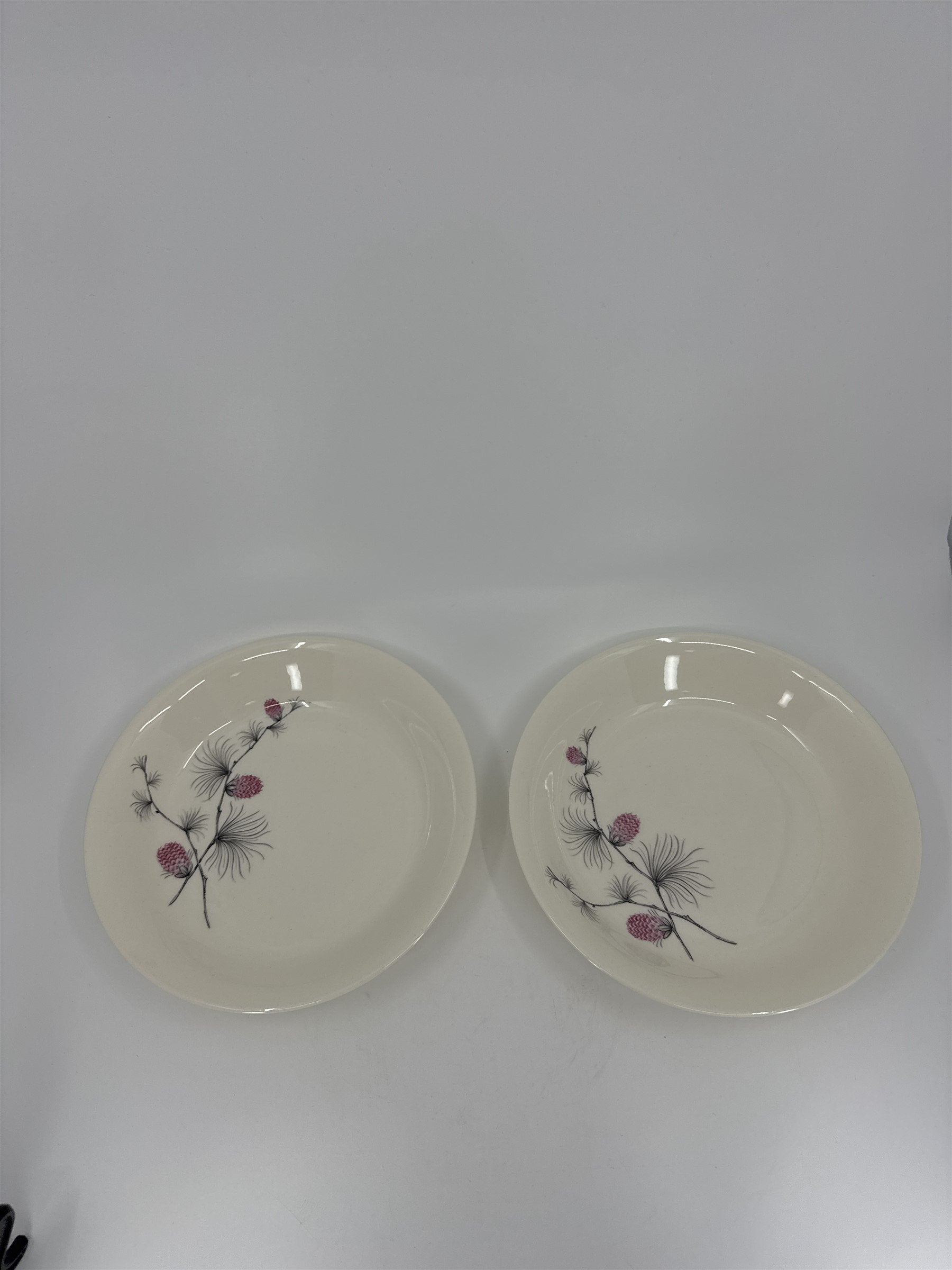 Set of 2 Vintage Alleghenyware Canonsburg Pottery Co. Wild Clover USA Bread Bowl