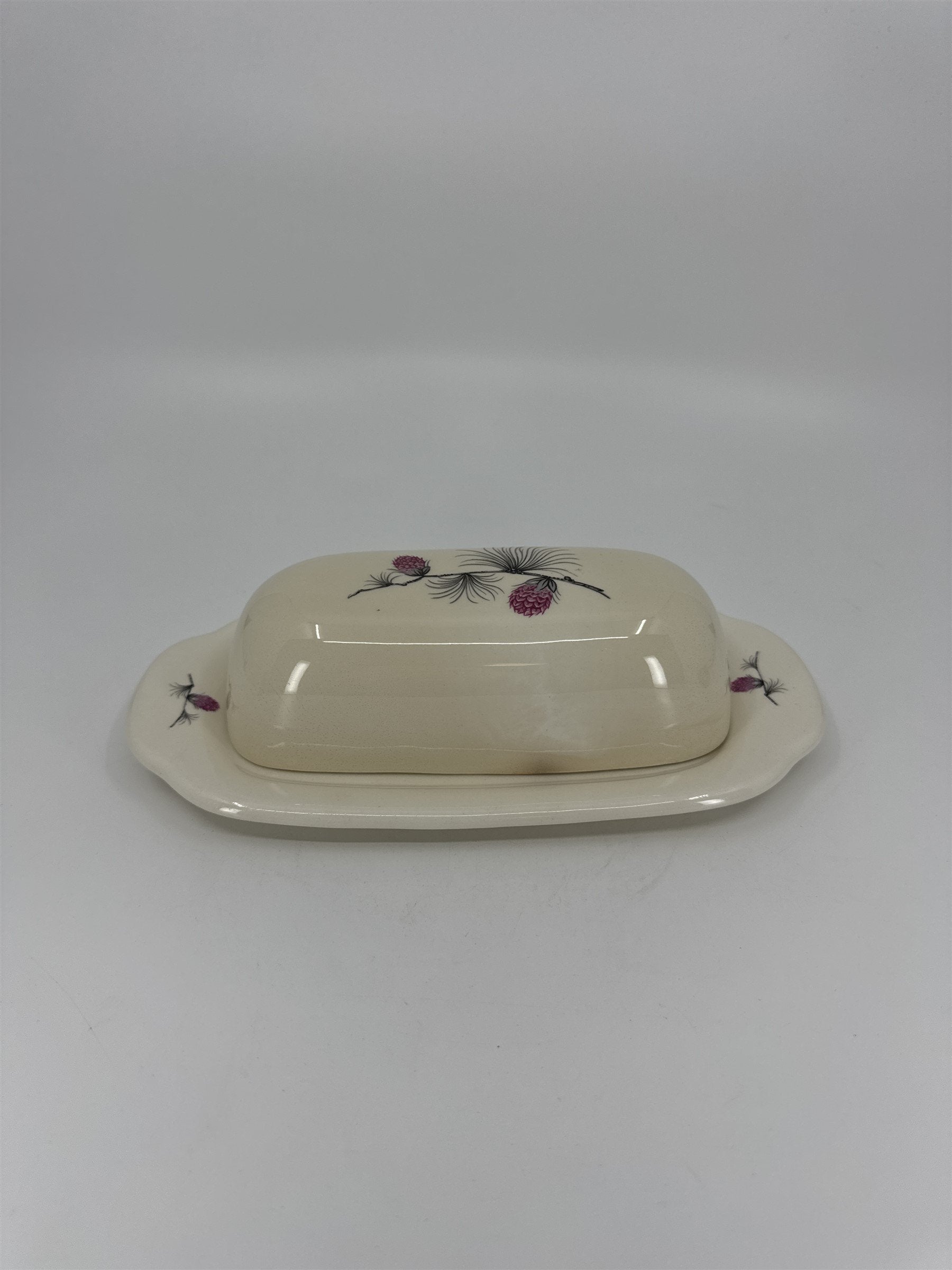 Vintage Alleghenyware Canonsburg Pottery Co. Wild Clover USA Butter Dish (Burns)